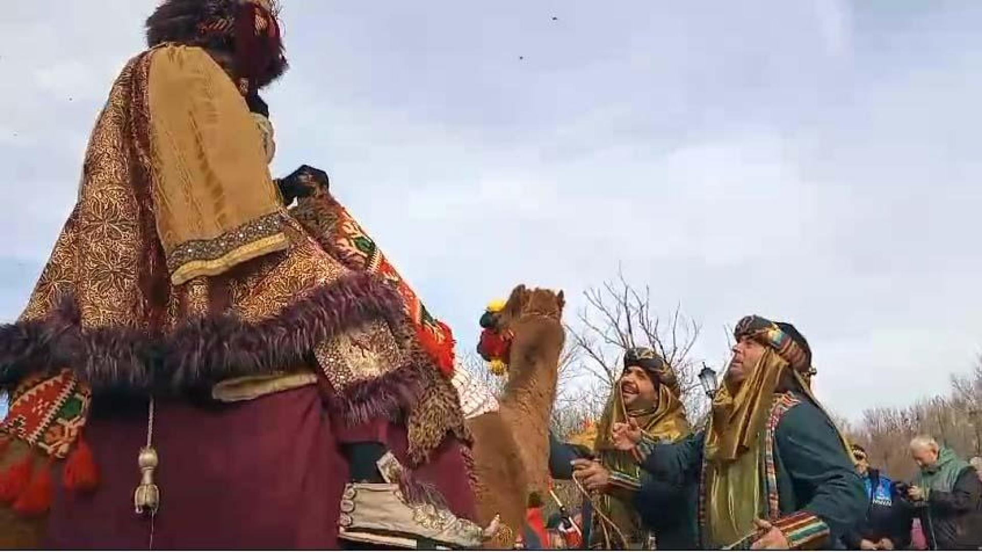 El animal se ha dado la vuelta inesperadamente, protagonizando un momento llamativo en la capital ribera