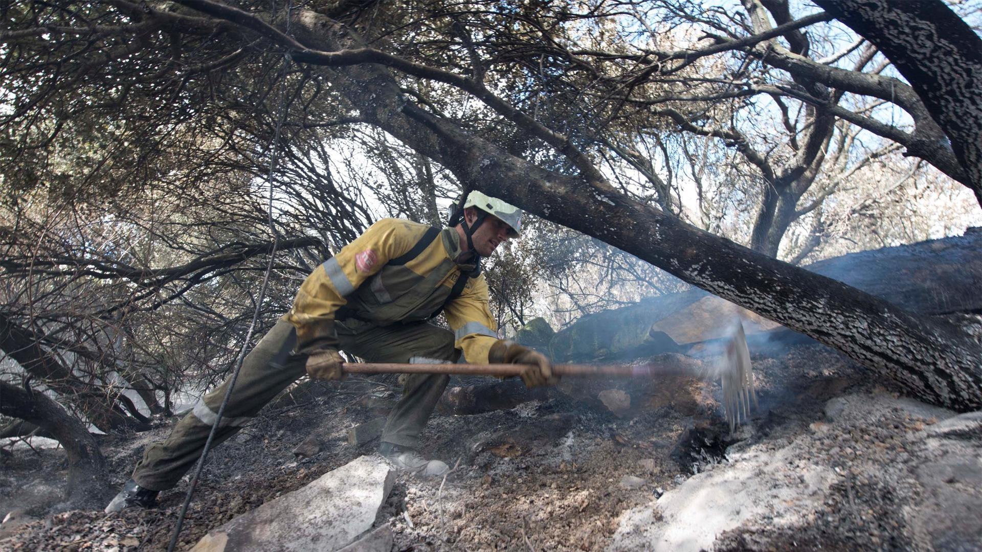 Un bombero forestal en labores de extinción de un fuego