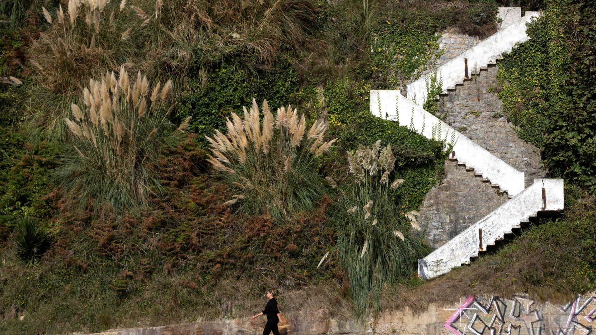 La artista pasa ante un paisaje con presencia de la planta