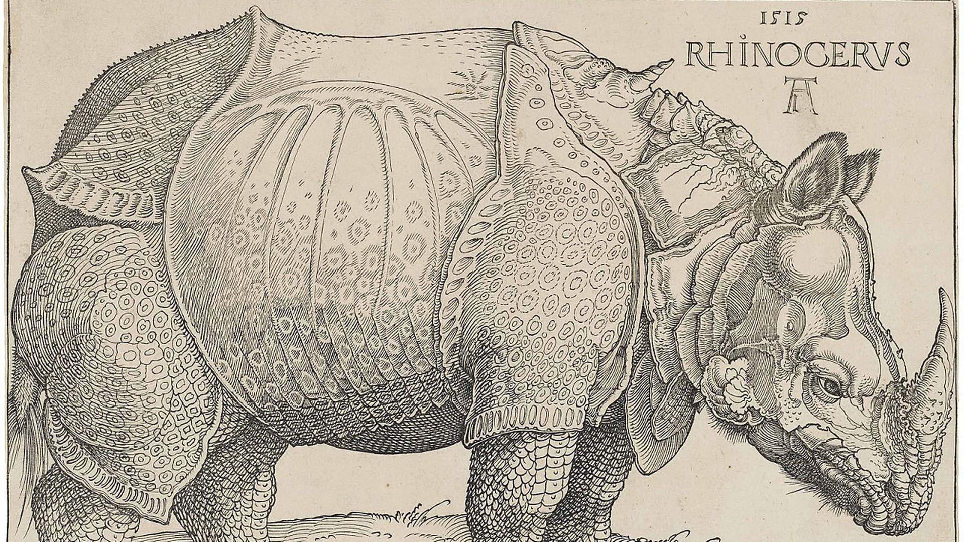 El famoso grabado de Alberto Durero 'El rinoceronte' (1515)