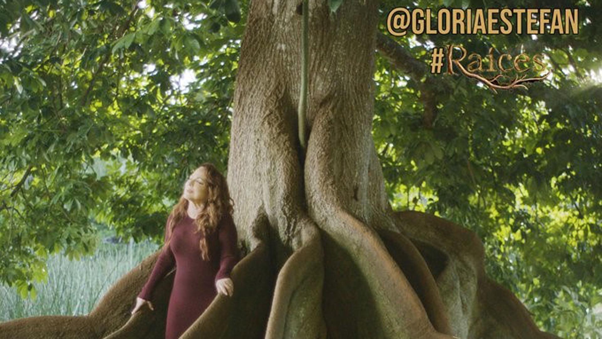 'Raíces', el nuevo trabajo de Gloria Estefan