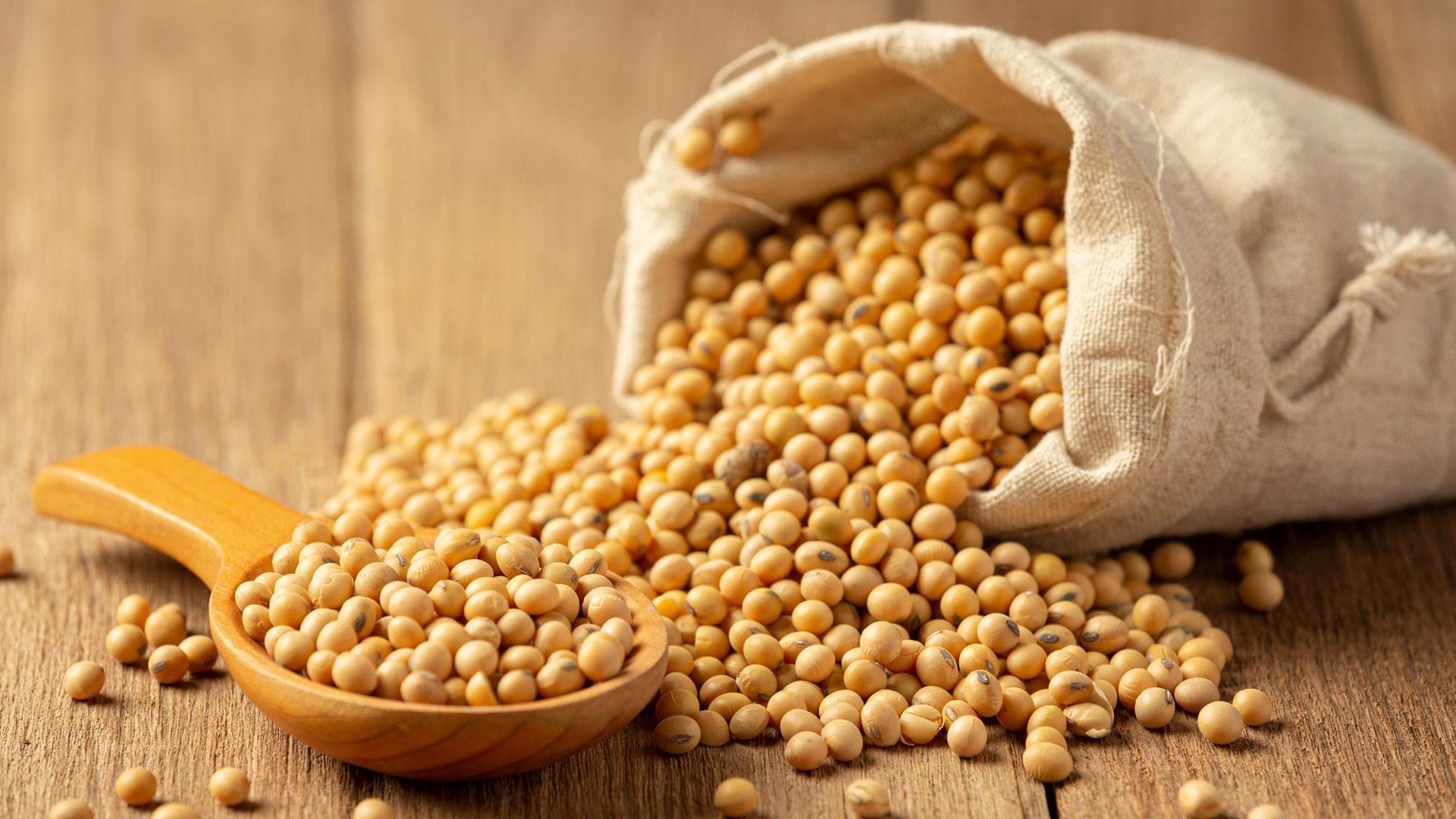 Las isoflavonas están naturalmente presentes en algunos vegetales como en las leguminosas y en las hortalizas, pero es en los alimentos con soja donde su contenido es mayor.