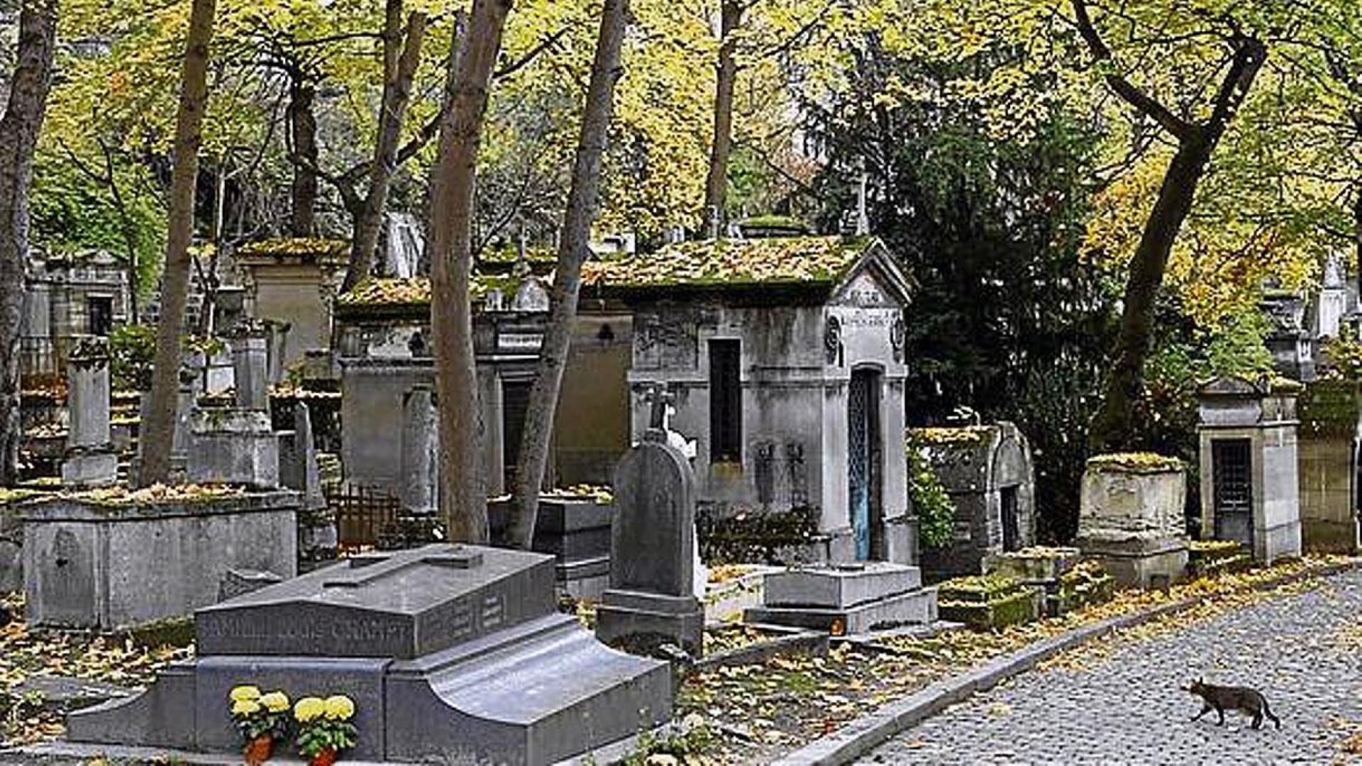 Un gato, en el cementerio de Père Lachaise de París