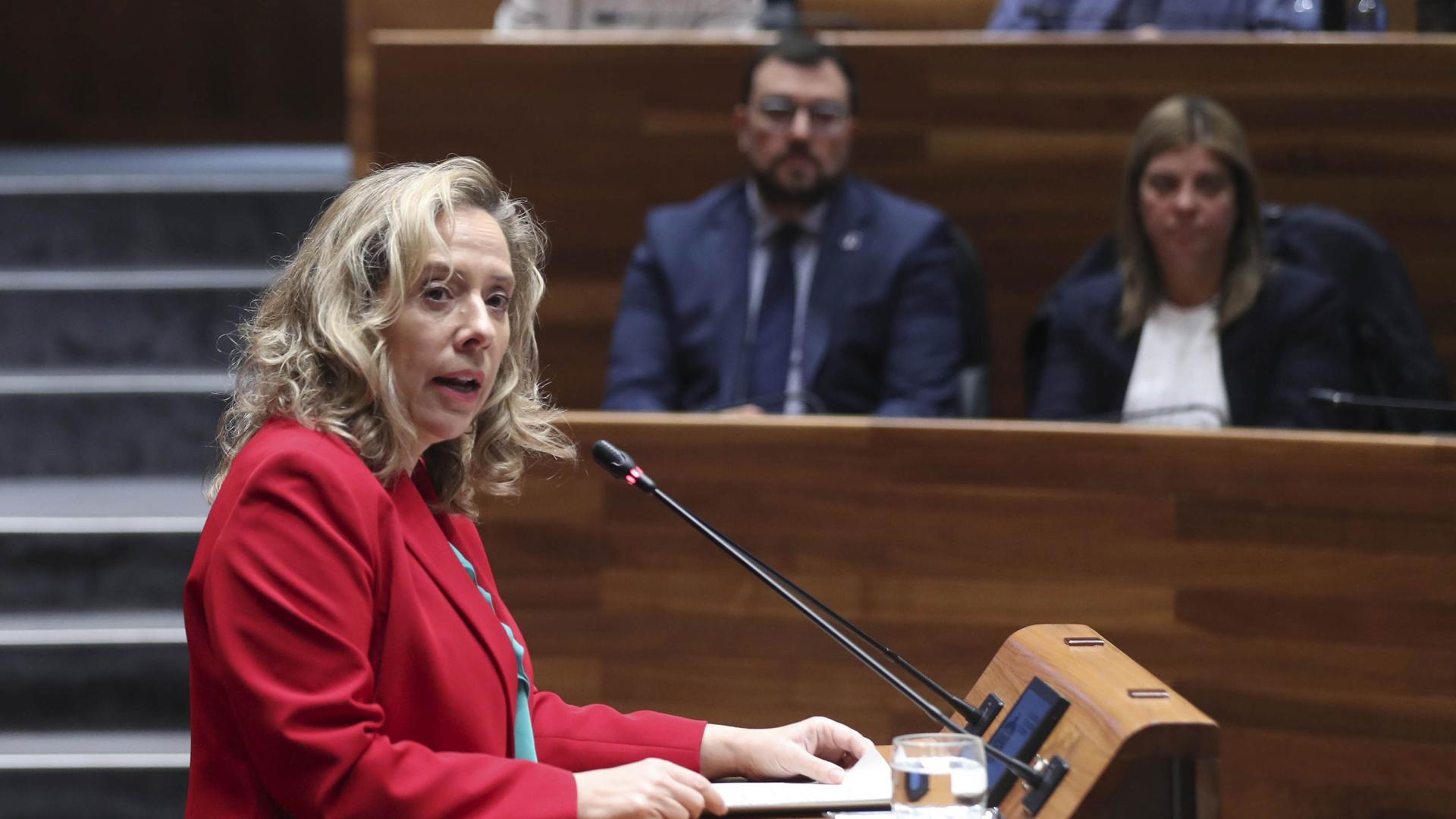 La consejera de Industria Belarmina Díaz, este martes en el pleno de la Junta General del Principado