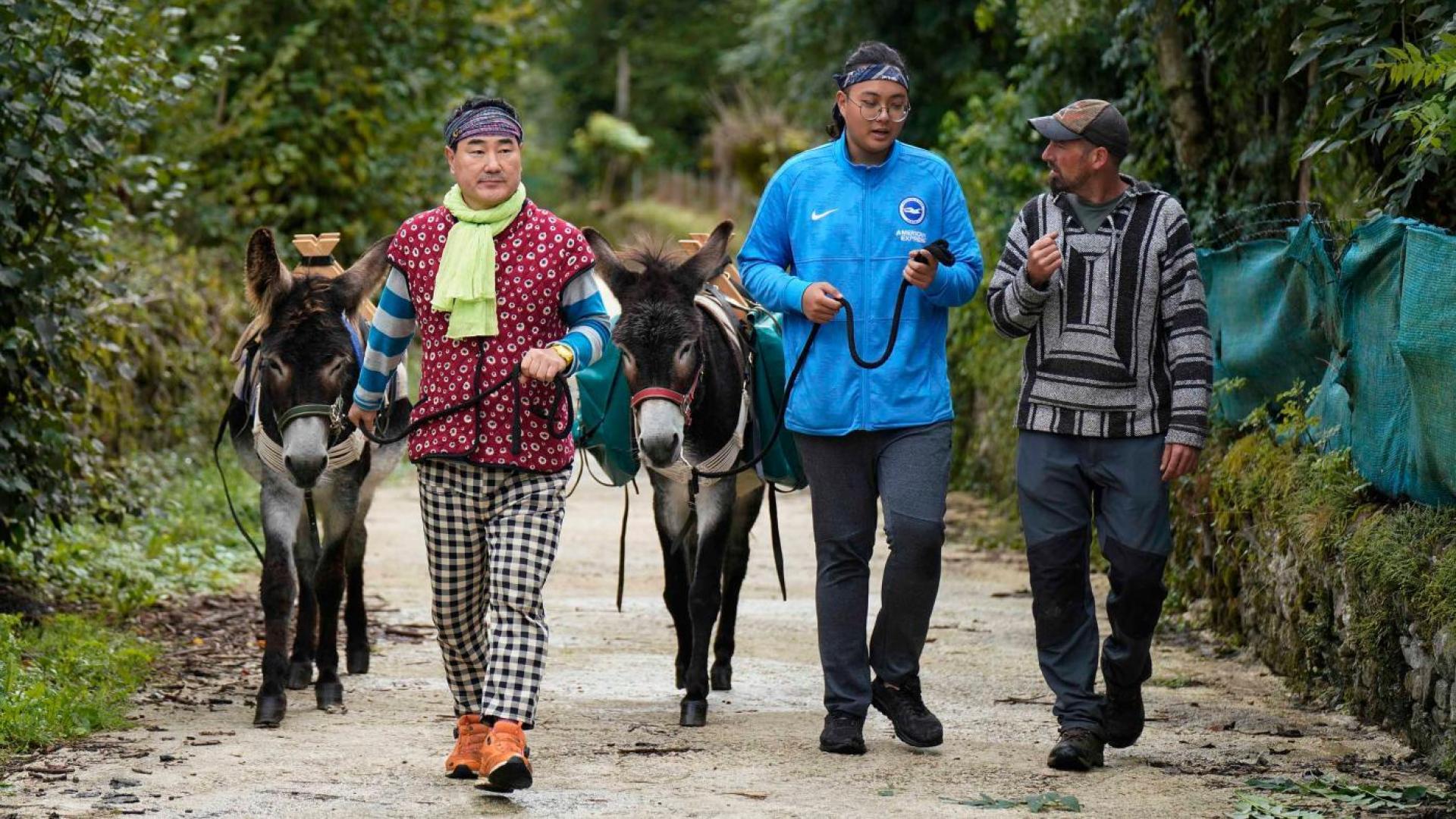 Un paseo a lomos de burros puede ser una experiencia muy bonita.