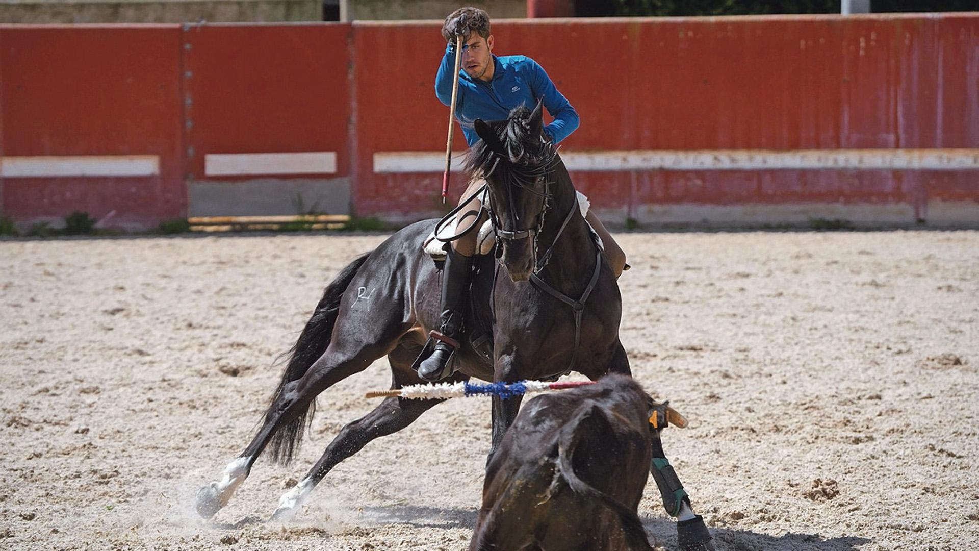 Guillermo Hermoso de Mendoza, entrenando con Berlín en la finca familiar en Noveleta