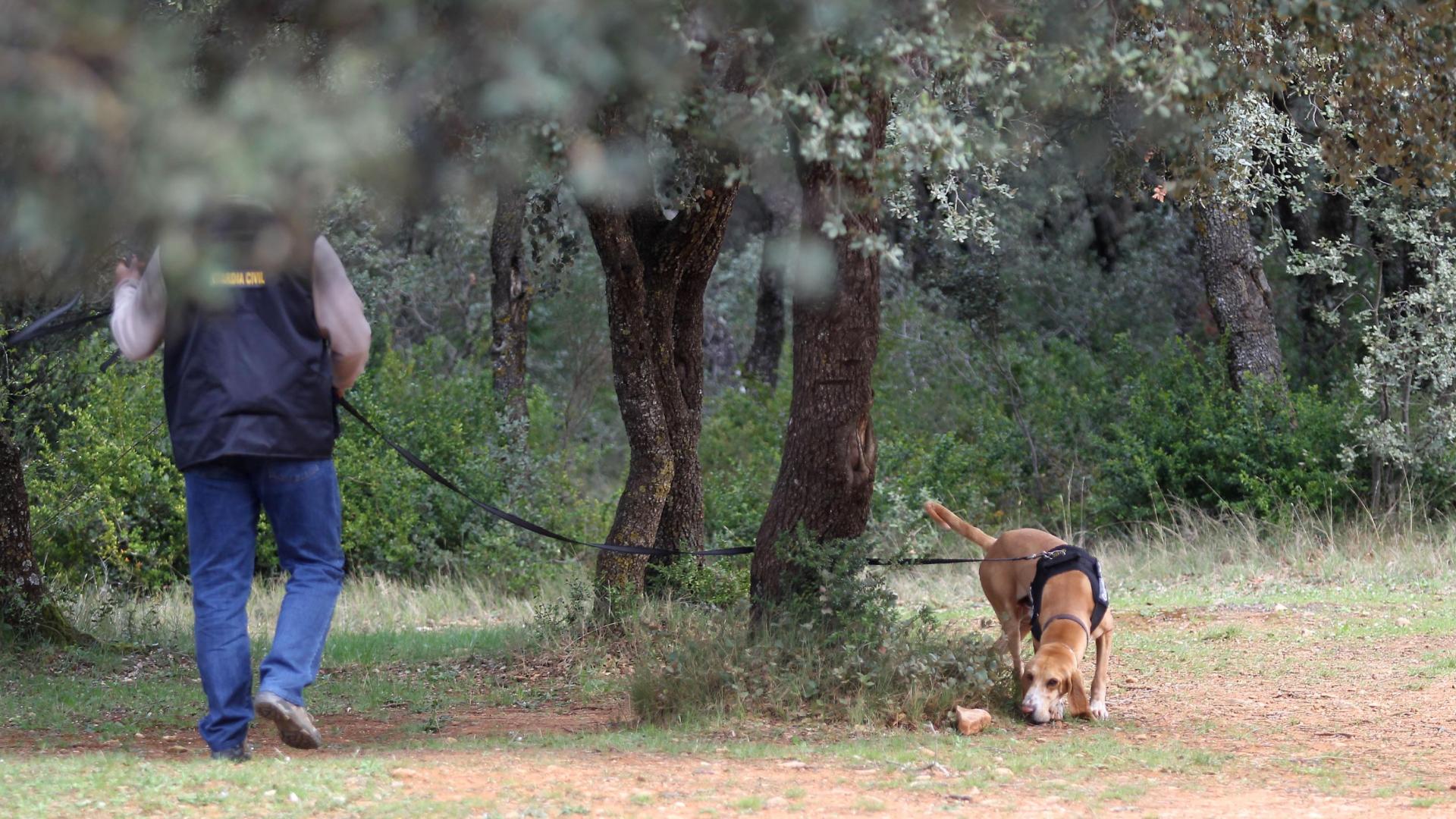Maniobras de entrenamiento de búsqueda con perros en el entorno de Unzué