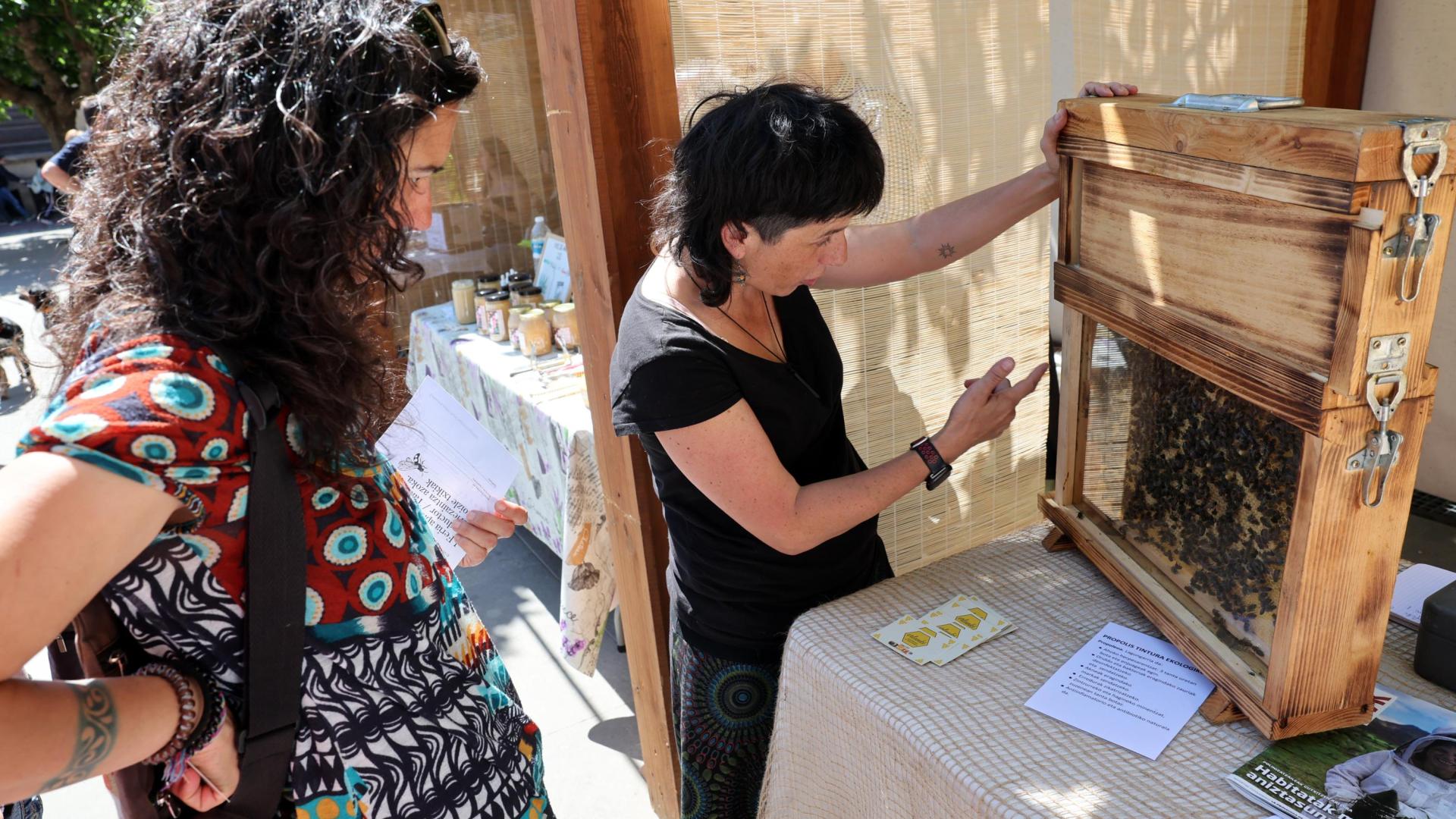 Imagen de la Feria de apicultura en Tafalla