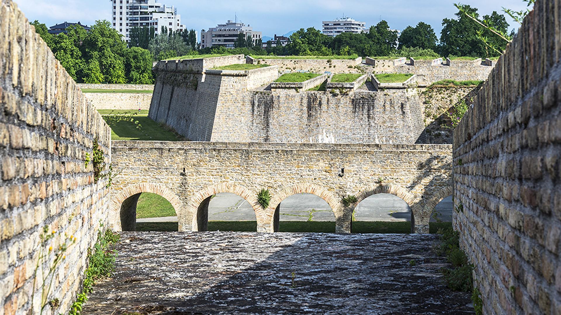 Un tramo de las murallas de Pamplona cuya conservación tendrá en cuneta especies vegetales y de fauna /