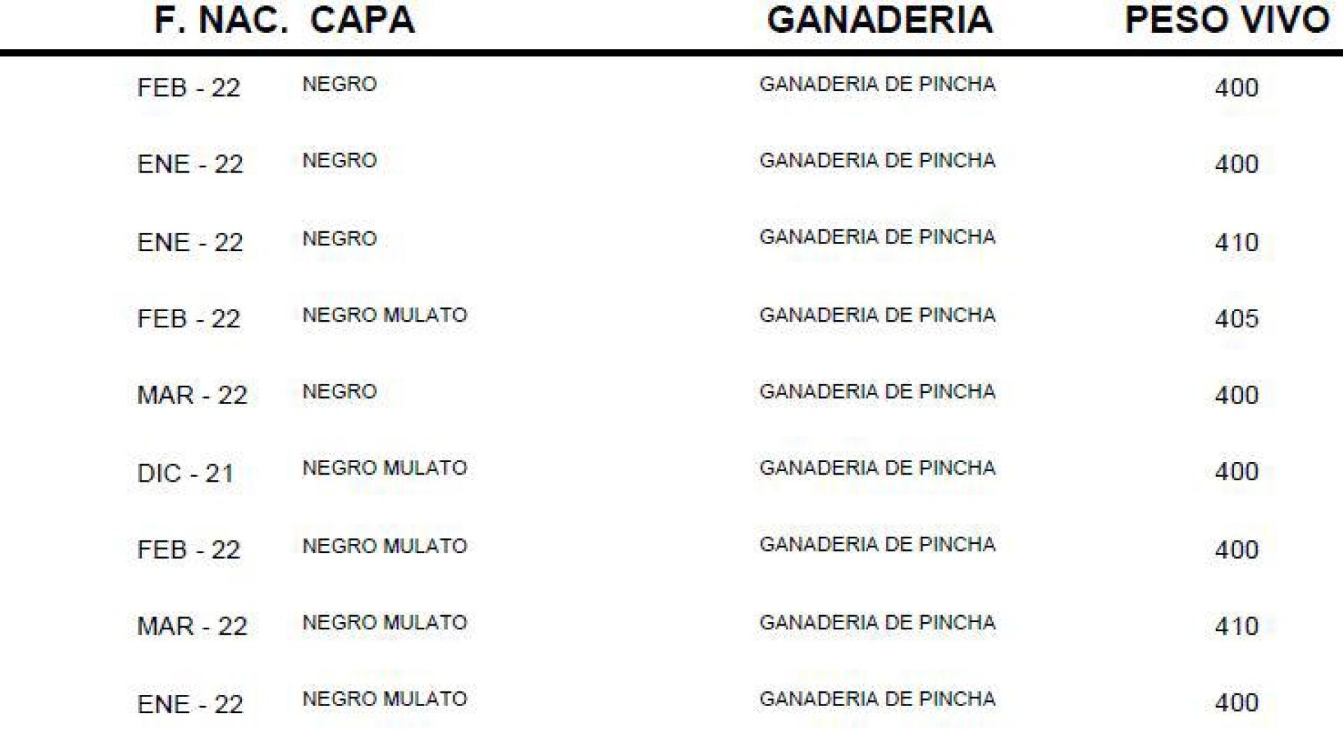 Peso de la novillada de Pincha