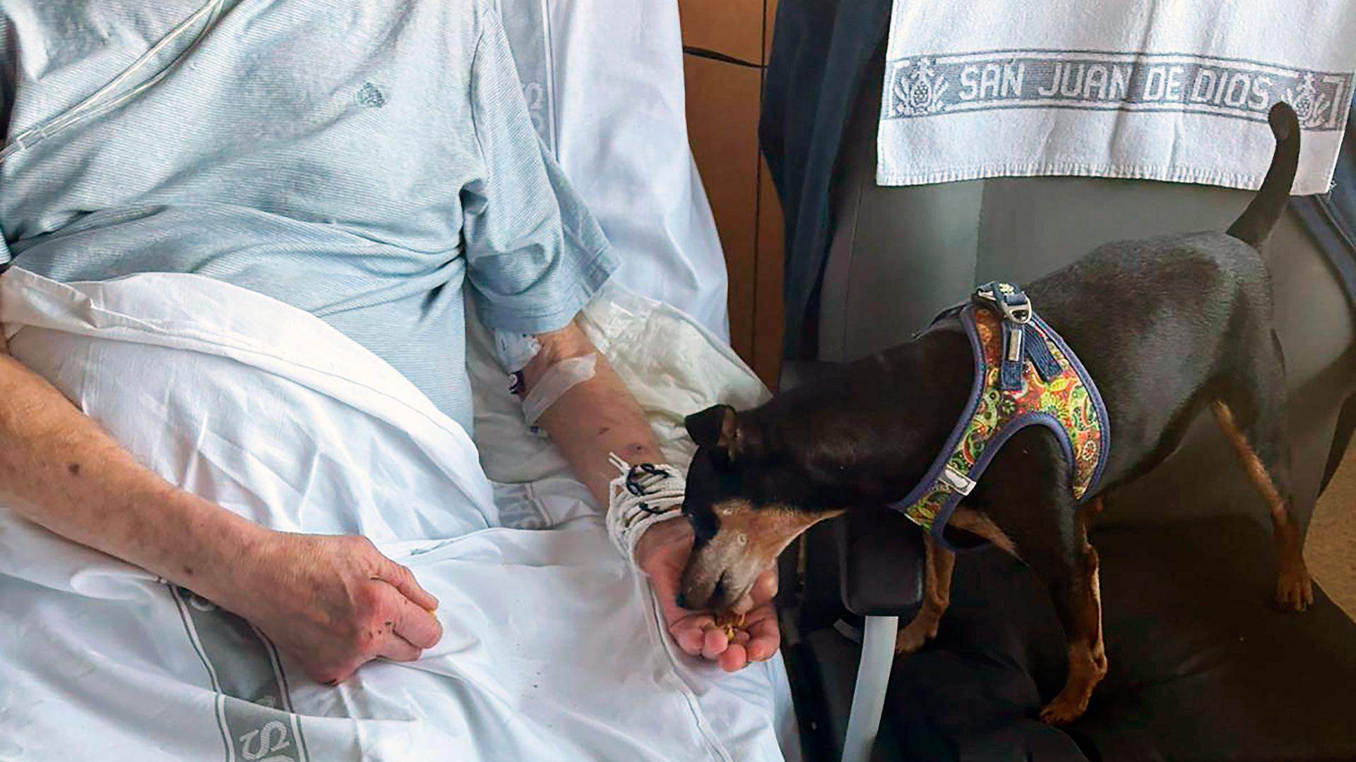 Lucas visita a Pablo, su dueño, ingresado en el Hospital San Juan de Dios de Pamplona