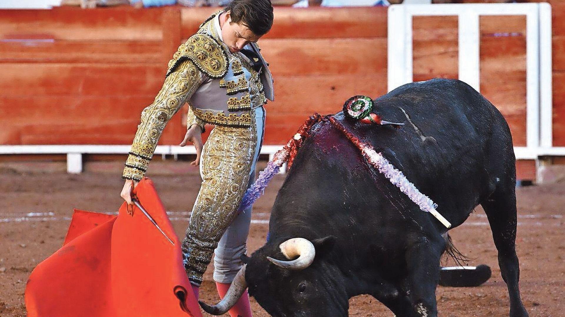 Bruno Martínez torea a un novillo en la plaza mexicana de Aguascalientes.