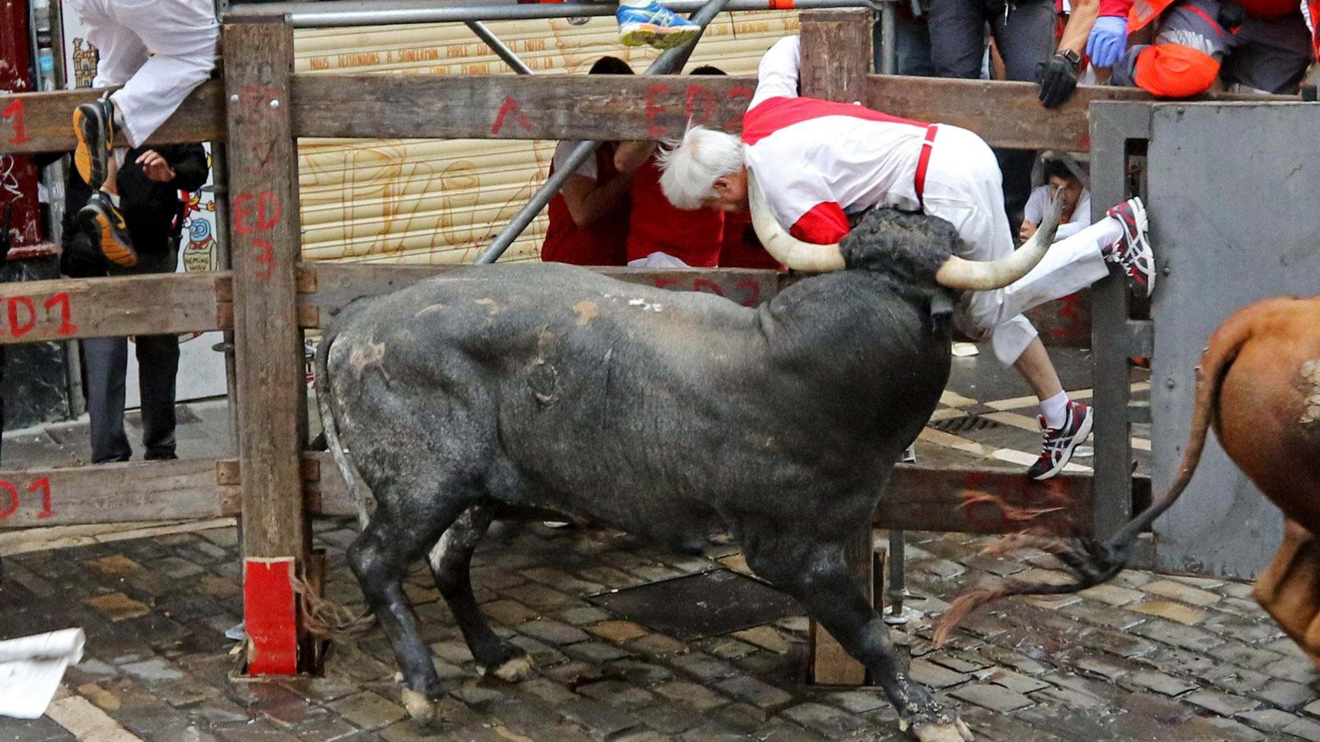 Imagen del año pasado, en que ‘Chirrino’, de 620 kilos, sorprendió al corredor de Onda (Castellón), de 70 años de edad