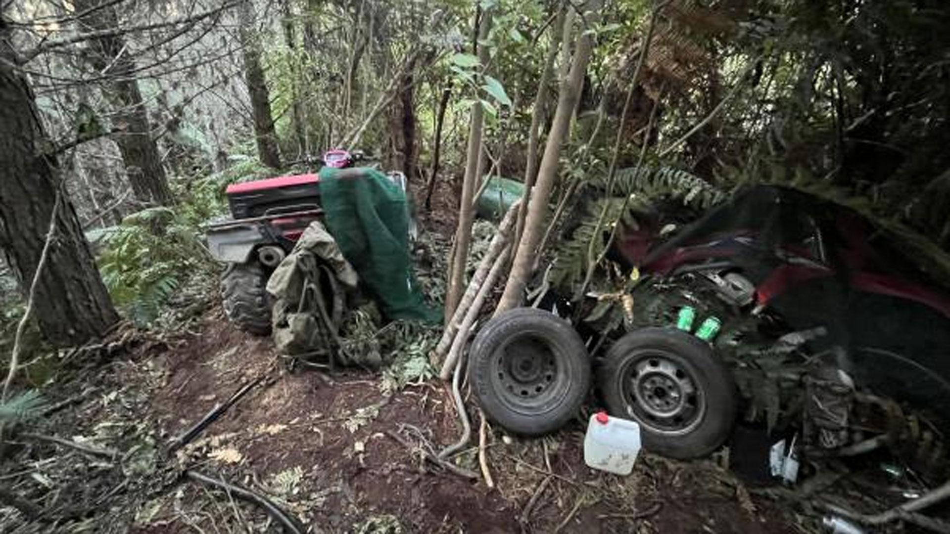 Campamento en el que Tom Philips se refugió junto a sus tres hijos secuestrados en el bosque, tras permanecer fugado de las autoridades durante casi cuatro años