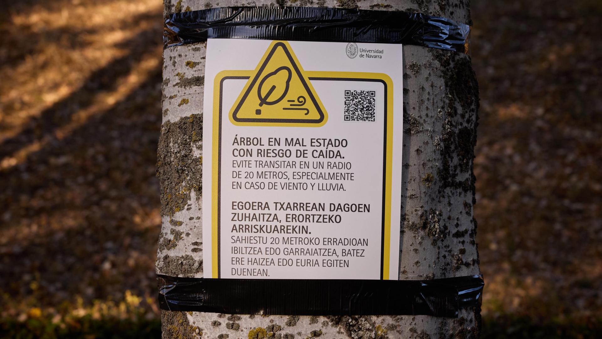 Uno de los carteles de peligro que la Universidad de Navarra ha colocado en los árboles que el Ayuntamiento de Pamplona le impide talar