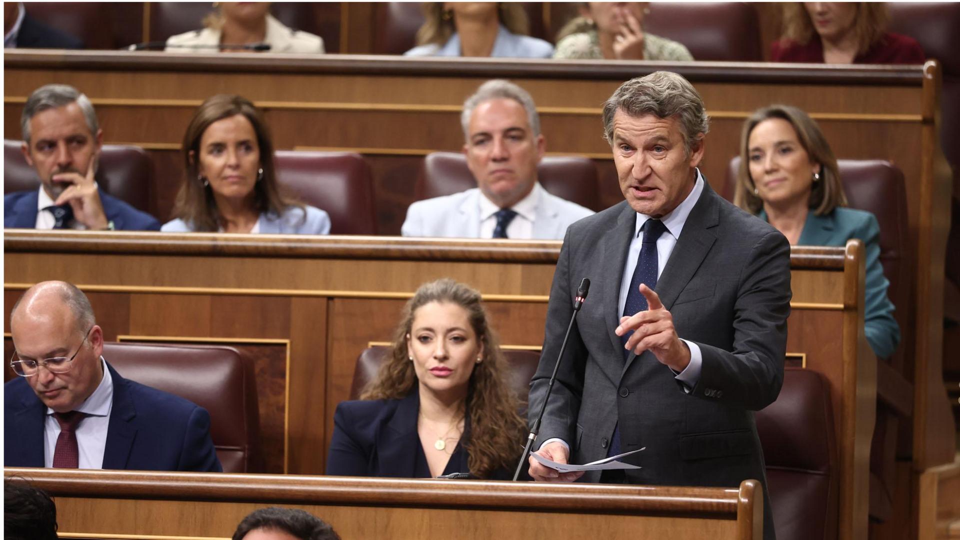 El presidente del PP, Alberto Núñez Feijóo, interviene durante una sesión de control al Gobierno en el Congreso de los Diputados