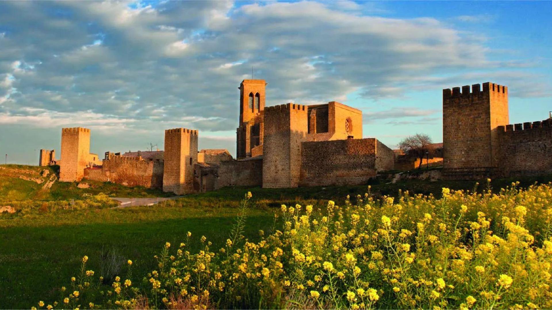 Una bonita vista del Cerco de Artajona.