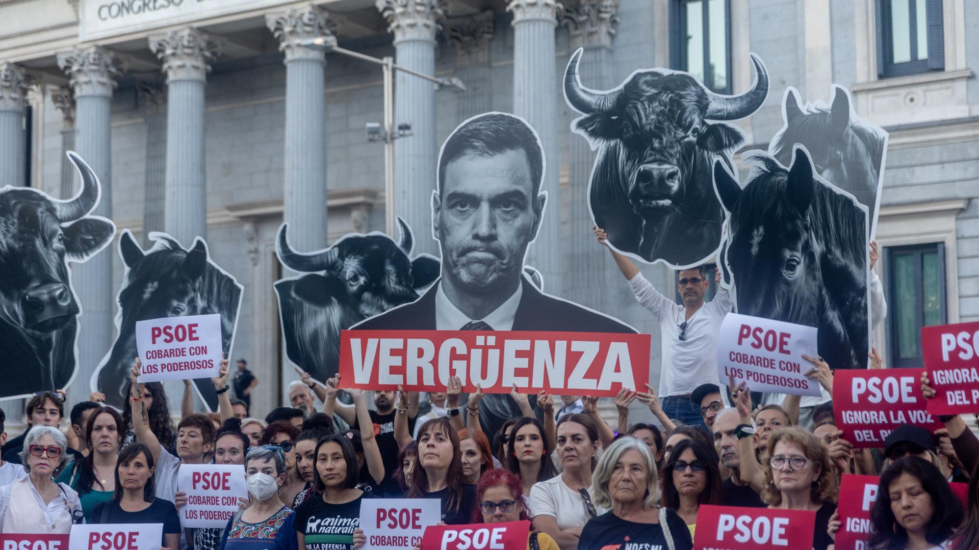 Los firmantes de la ILP 'No es mi cultura' se han concentrado frente al Congreso de los Diputados