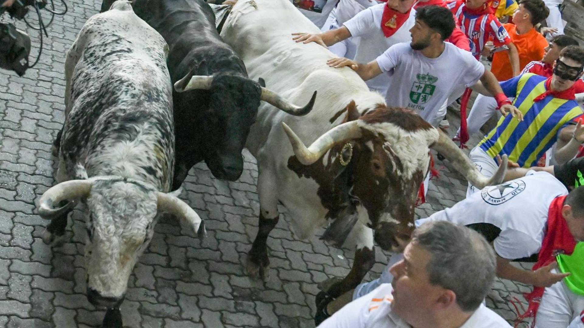 Encierro de Cebada Gago, con la manada llegando al Callejón.