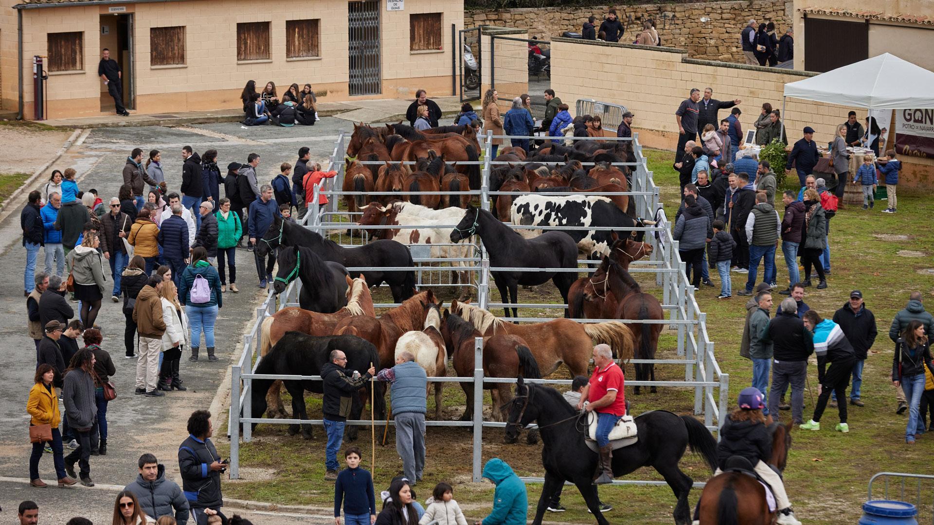 Un momento de las pasadas ferias de octubre en Tafalla.