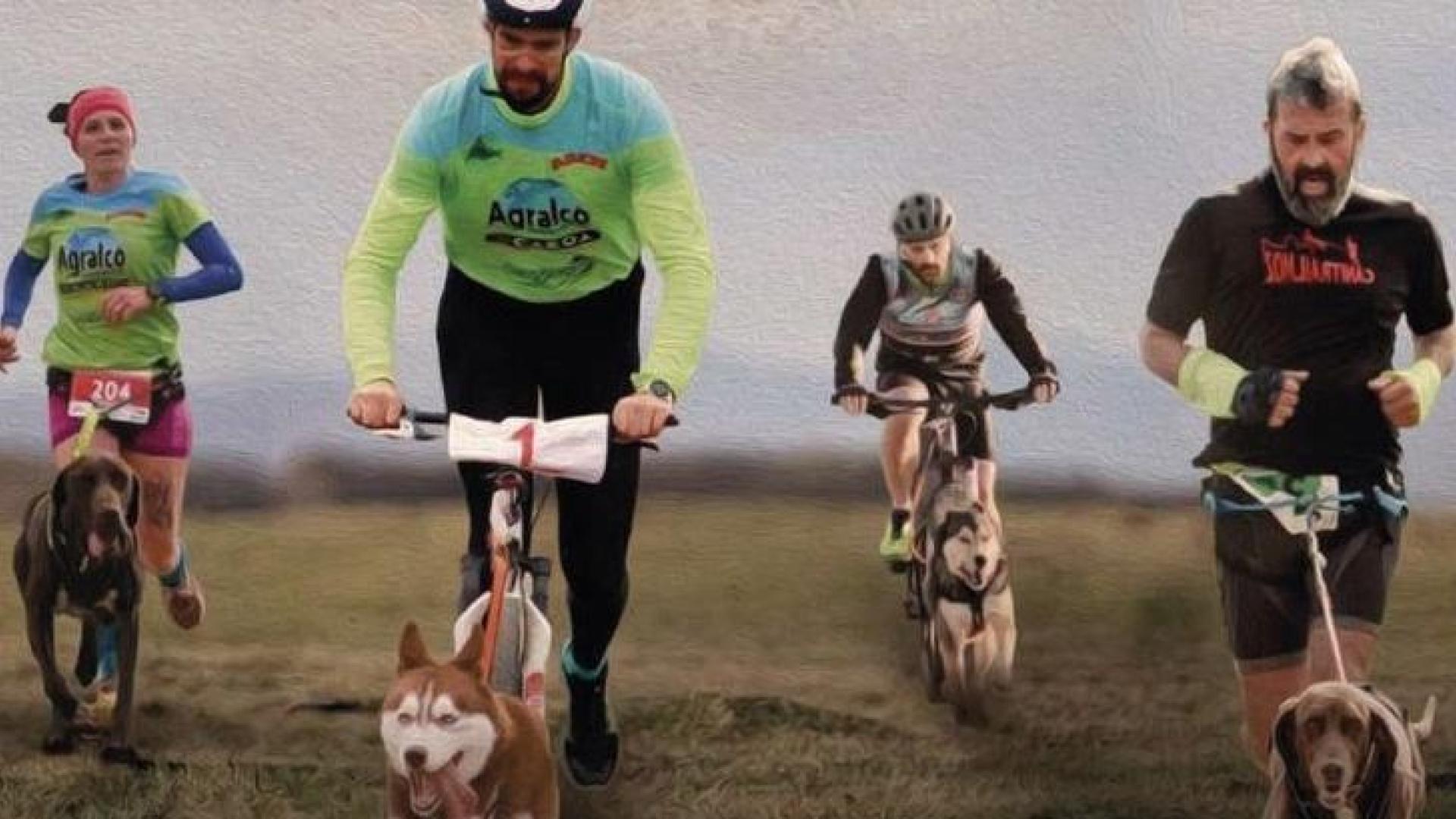 Imagen promocional de la I Copa de España de Mushing de Buñuel