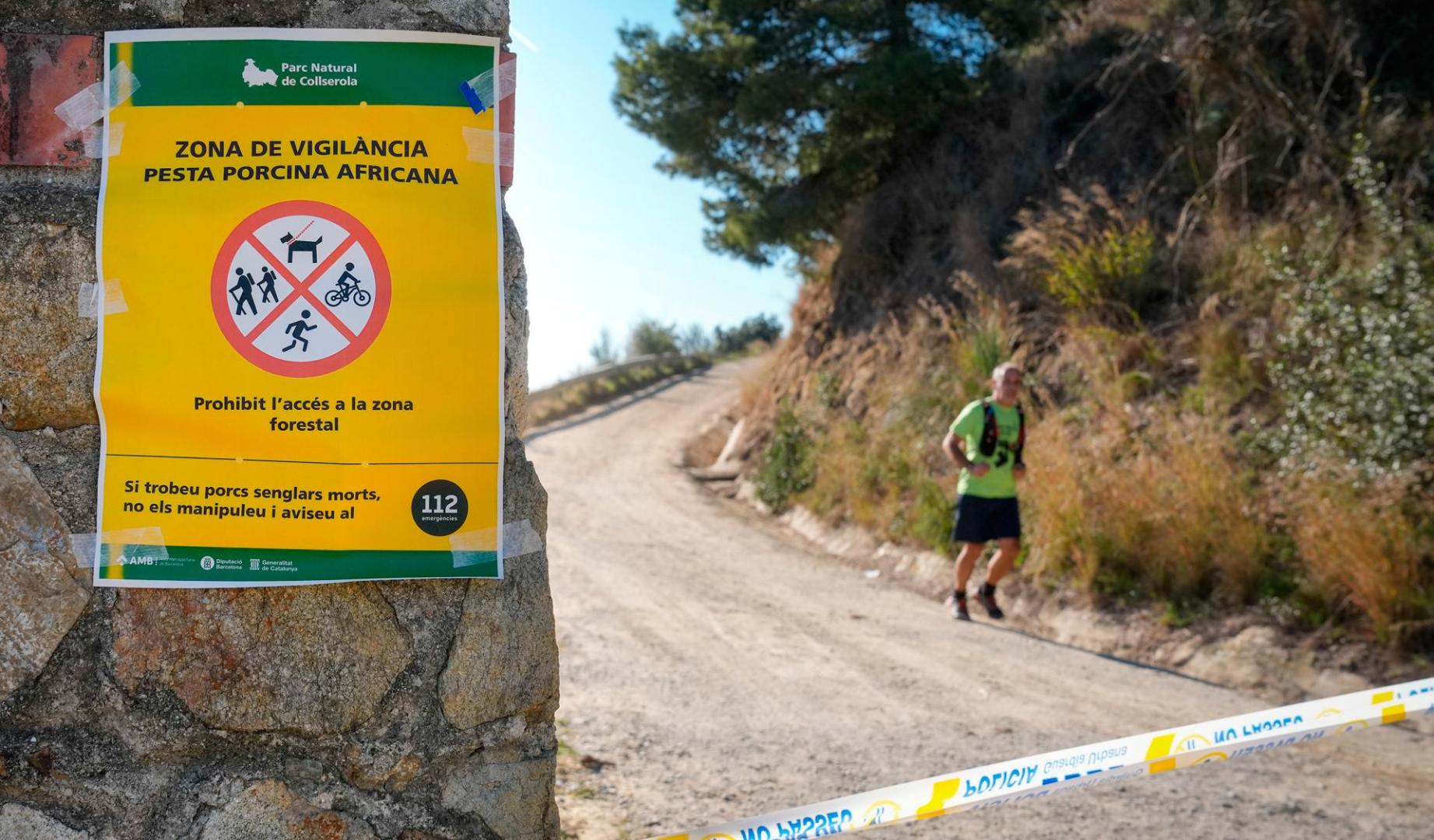 Aspecto de uno de los accesos al Parque Natural de Collserola, alertando de la presencia de la peste porcina hallada en jabalíes autóctonos de la zona