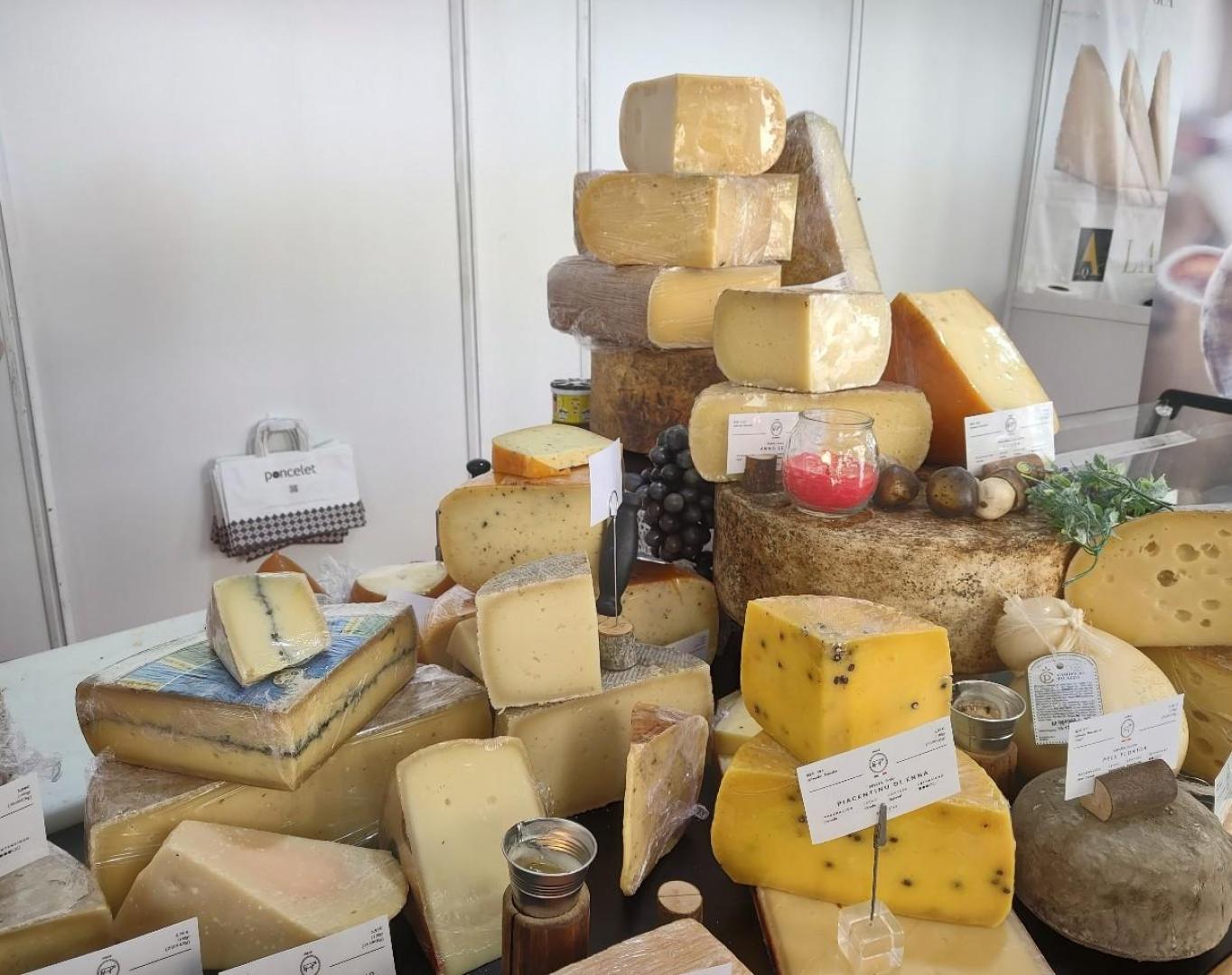 Feria bienal de Fromago Cheese Experience en Zamora
