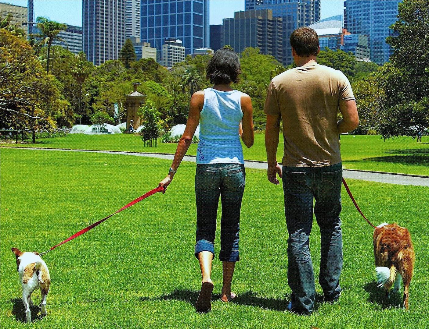 UNA PAREJA PASEA SUS PERROS POR UN PARQUE Quién pasea al perro es uno de los motivos de pelea.
