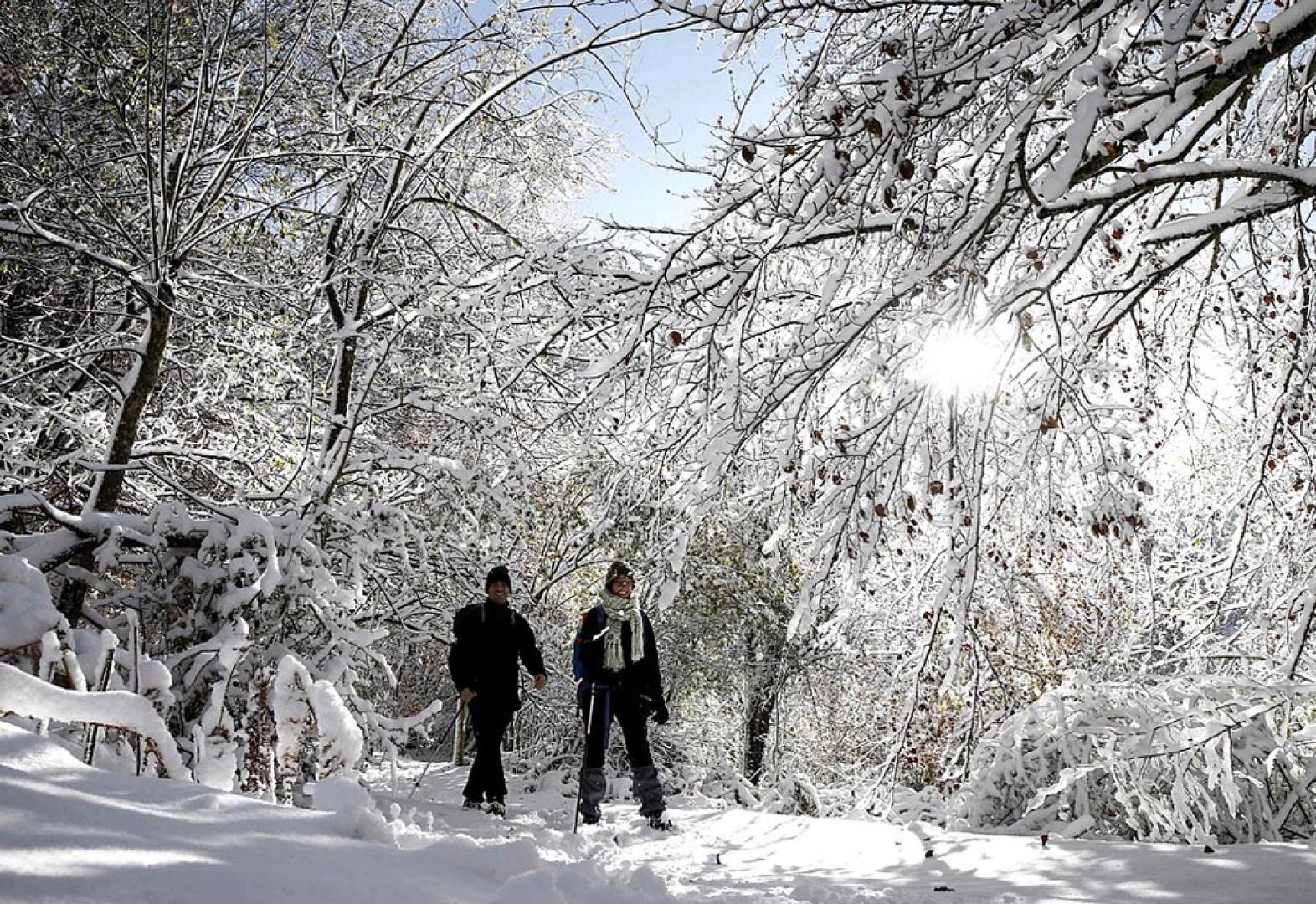 La alerta por nieve se complica este jueves y viernes en Navarra. Así lo advierte la AEMET, que mantiene activada la alerta amarilla en la vertiente cantábrica y el centro de la Comunidad. Además, las lluvias están siendo las protagonistas en varias zonas de Navarra durante las últimas horas.