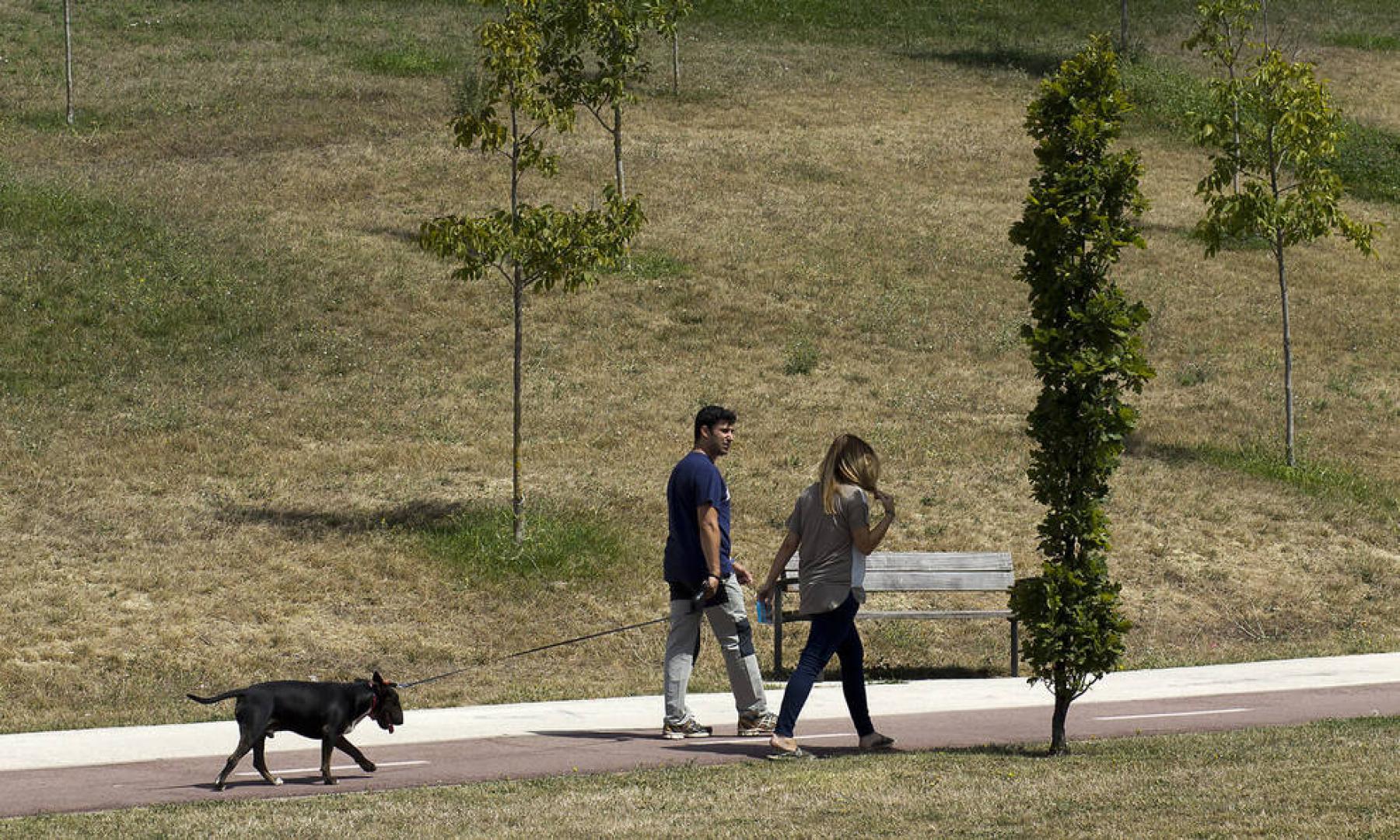 Una pareja pasea a su perro en las inmediaciones de Ripagaina
