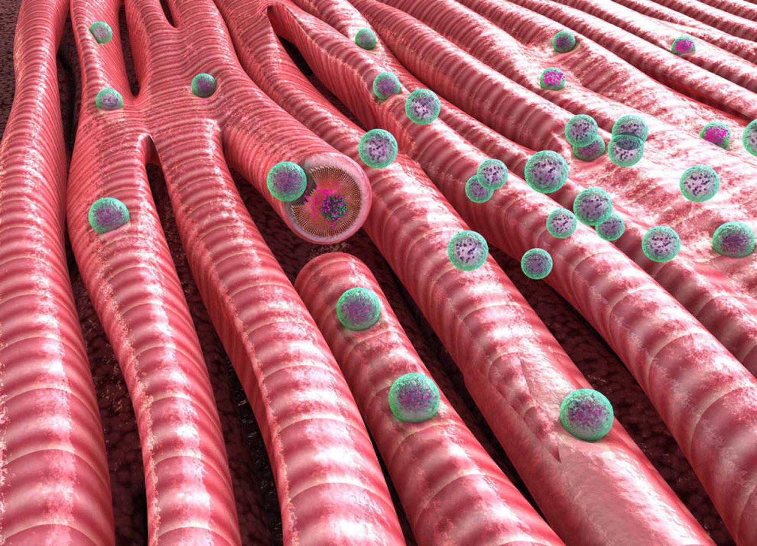 Las nanopartículas, héroes pequeños contra un mal gigante