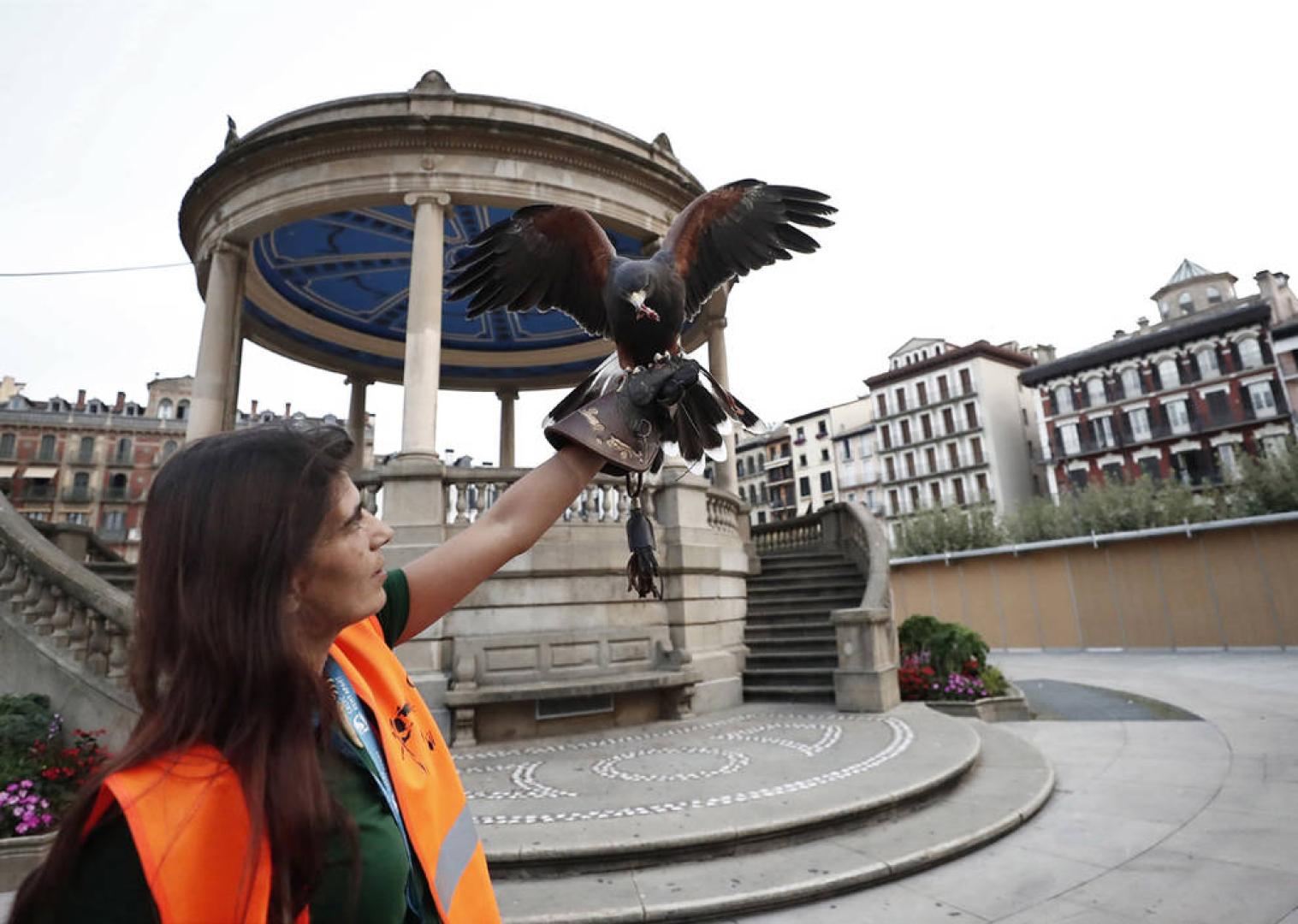 Suelta de dos águilas y dos halcones en la Plaza del Castillo