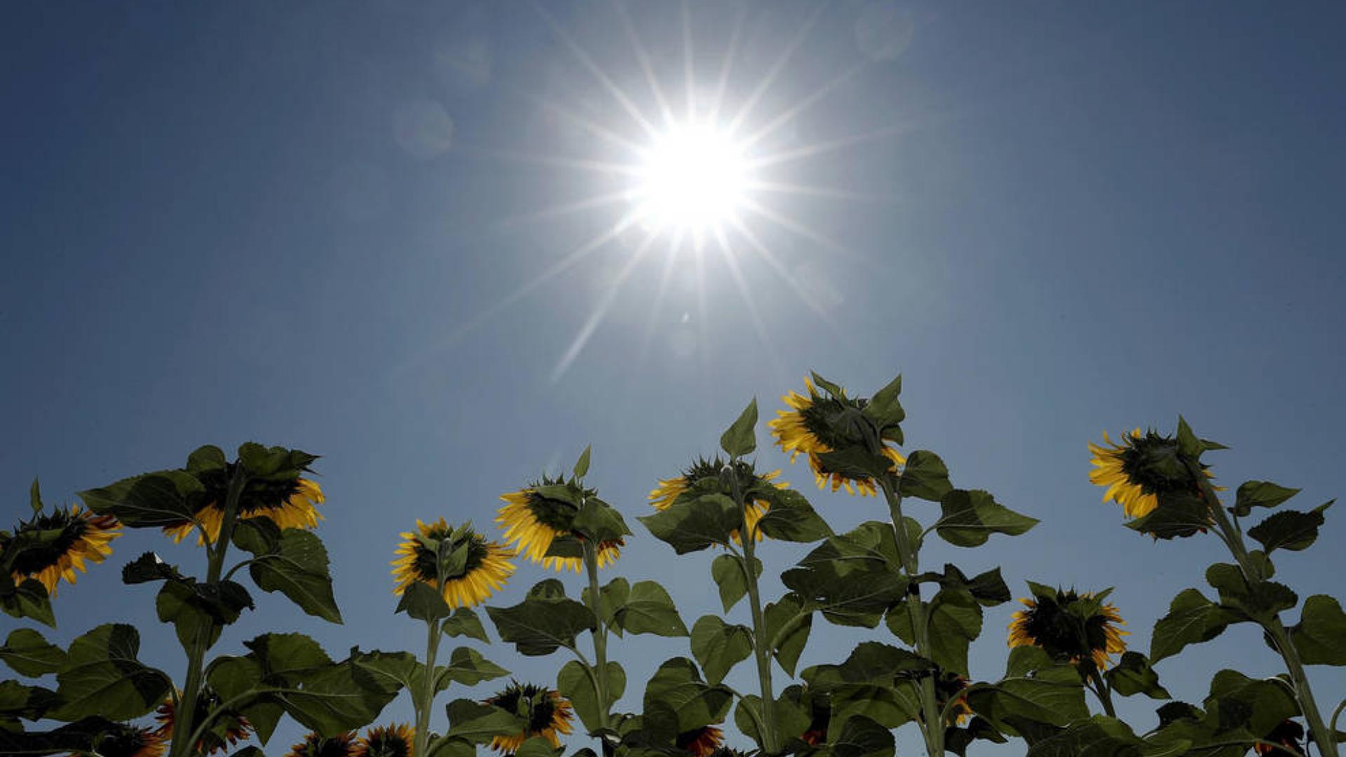 Continúa el golpe de calor este domingo en Navarra