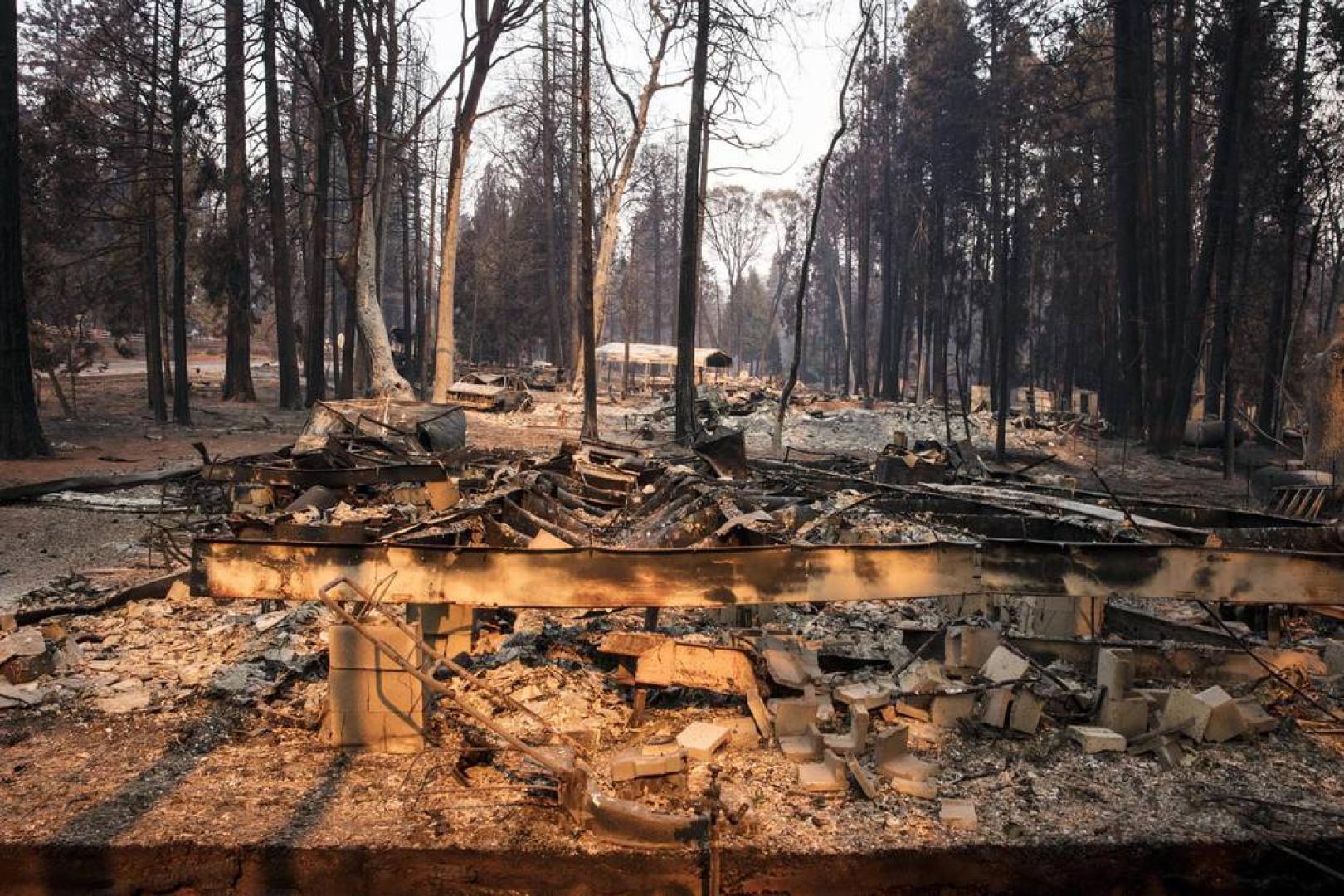 Las autoridades y servicios de emergencias siguen este lunes la búsqueda de más de 100 personas desaparecidas en la zona afectada por el gigantesco incendio que quema desde el jueves el norte de California (EE UU) y que, junto a otro fuego en el sur, han causado al menos 31 muertos
