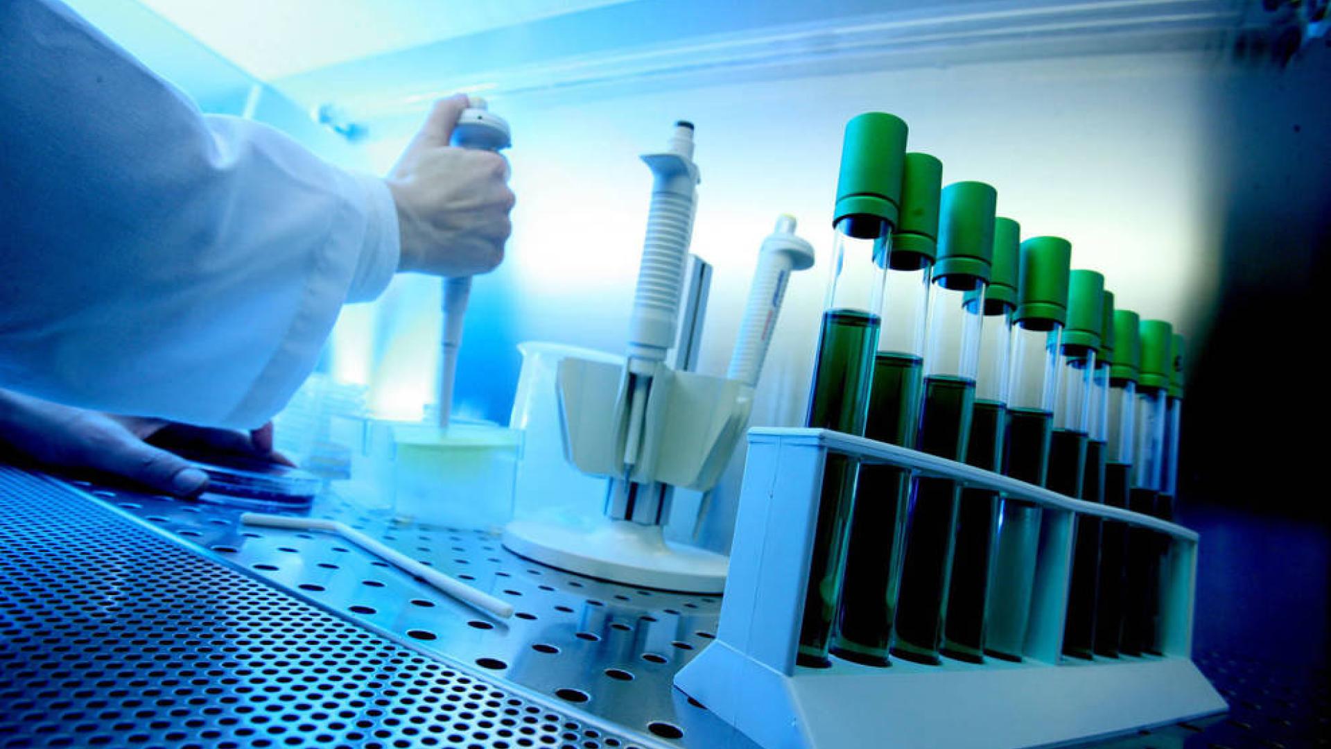Desarrollan una nueva vacuna terapéutica para tratar la leucemia