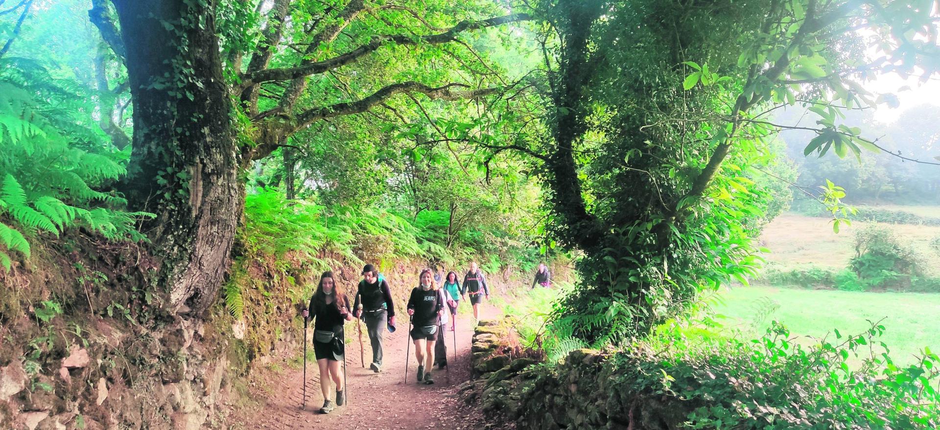 La promesa de la ‘compostela’ con apenas 100 kilómetros recorridos convierte el último tramo en una romería y cada cama, en un tesoro