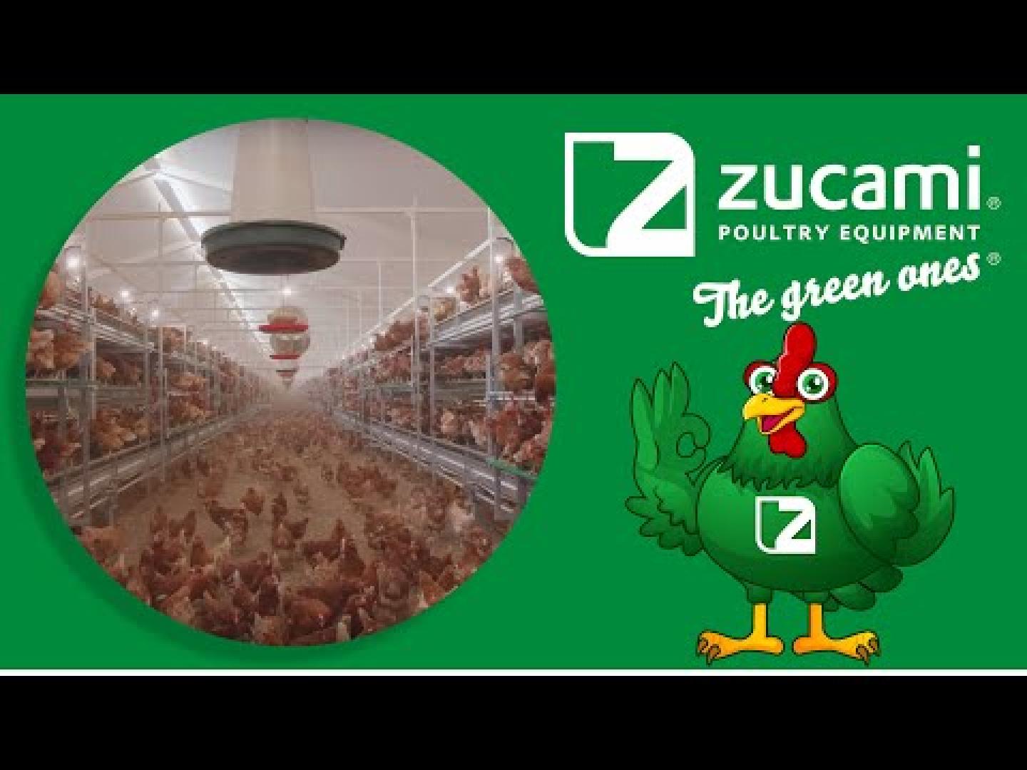 El aviario automático de ZUCAMI para la producción de huevos está diseñado para ofrecer el mayor confort, mejor y más natural movilidad de las aves en el sistema y facilitando las labores diarias de control gracias a una completa visión de todos los elementos