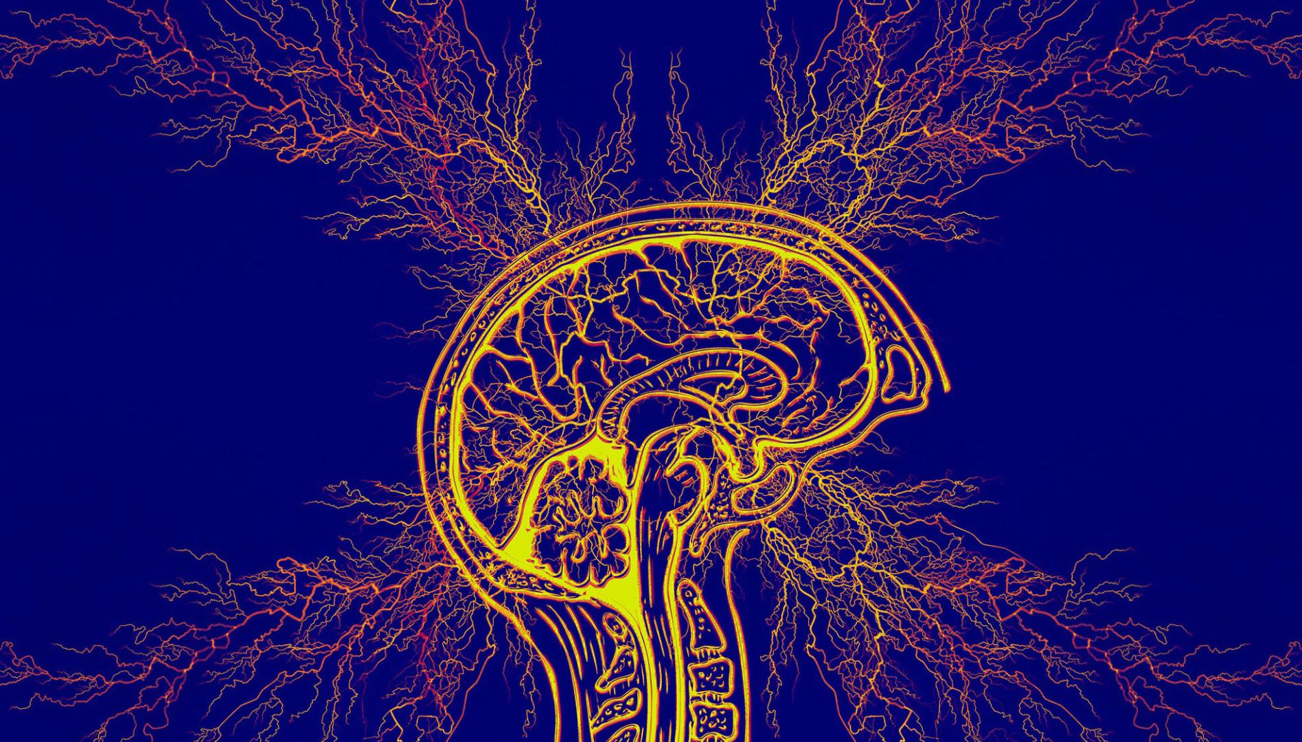 El síndrome de Tourette afecta al 0'8 % de los menores de 18 años y al 0,4 % de los adultos