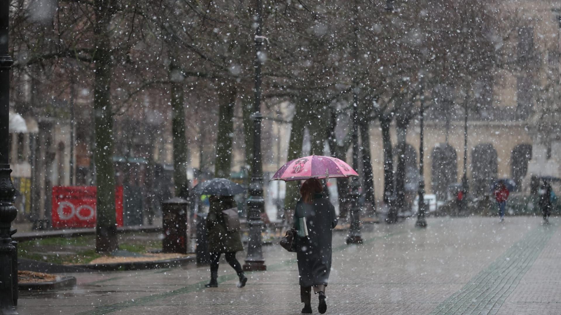 Copos de nieve en el Paseo Sarasate de Pamplona