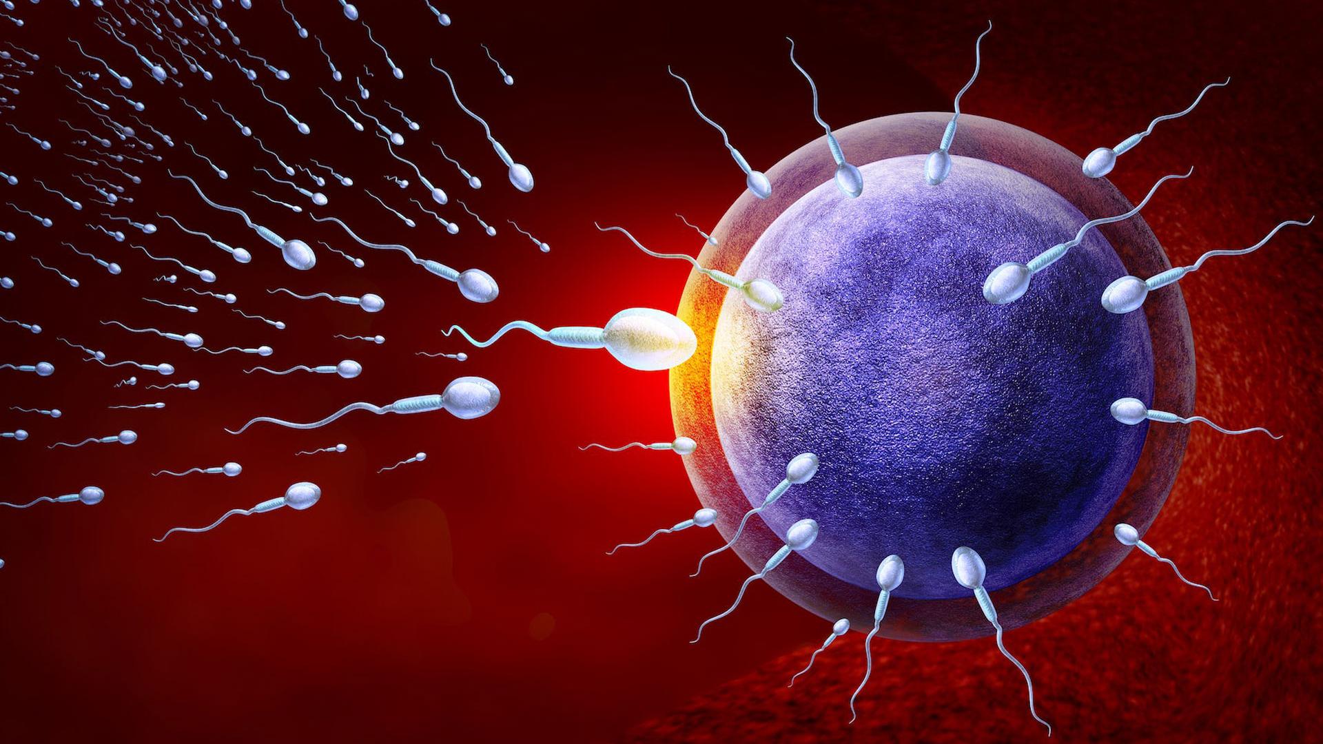 Las causas de la infertilidad son múltiples, y entre ellas se cuentan la edad; factores ambientales como el estrés, la contaminación, el consumo sustancias tóxicas o la depresión; o las infecciones de transmisión sexual