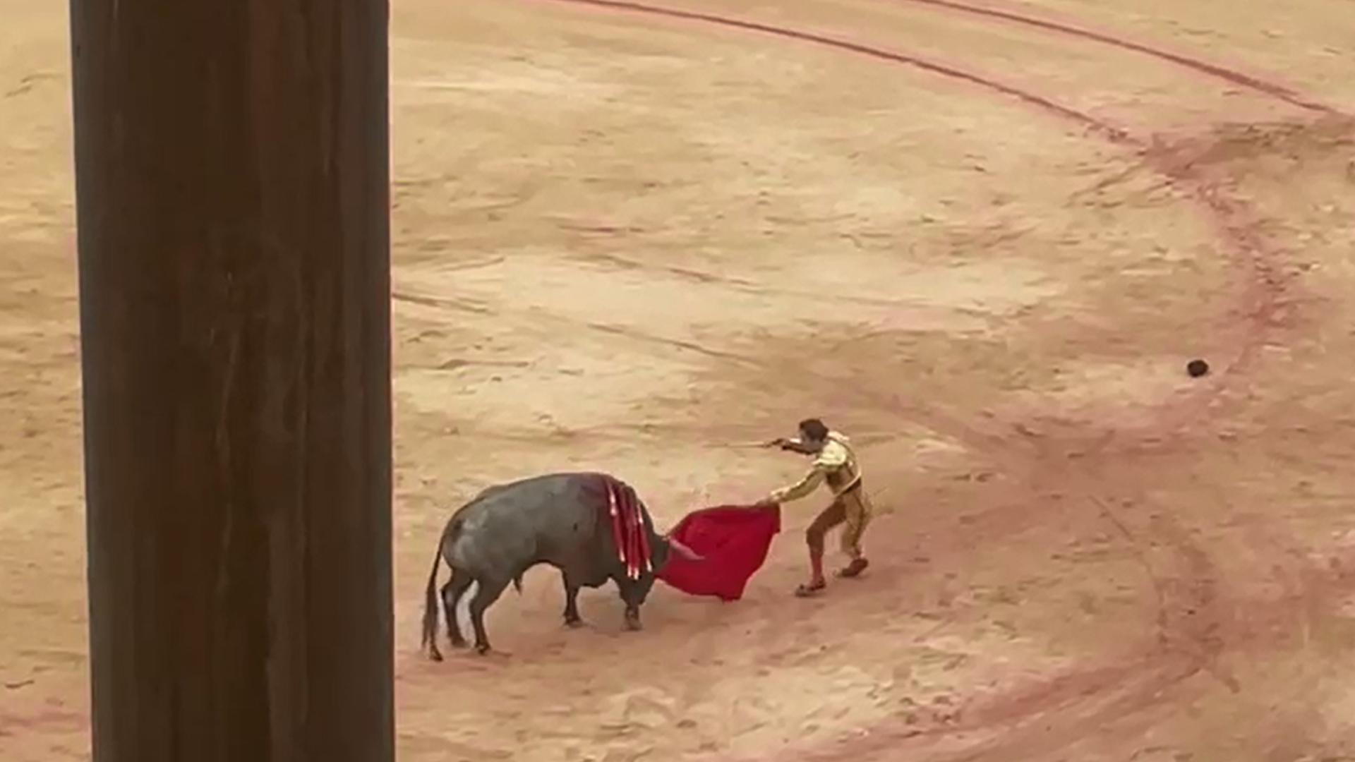 El torero de Ciudad Rodrigo ha terminado la faena con acierto con el estoque