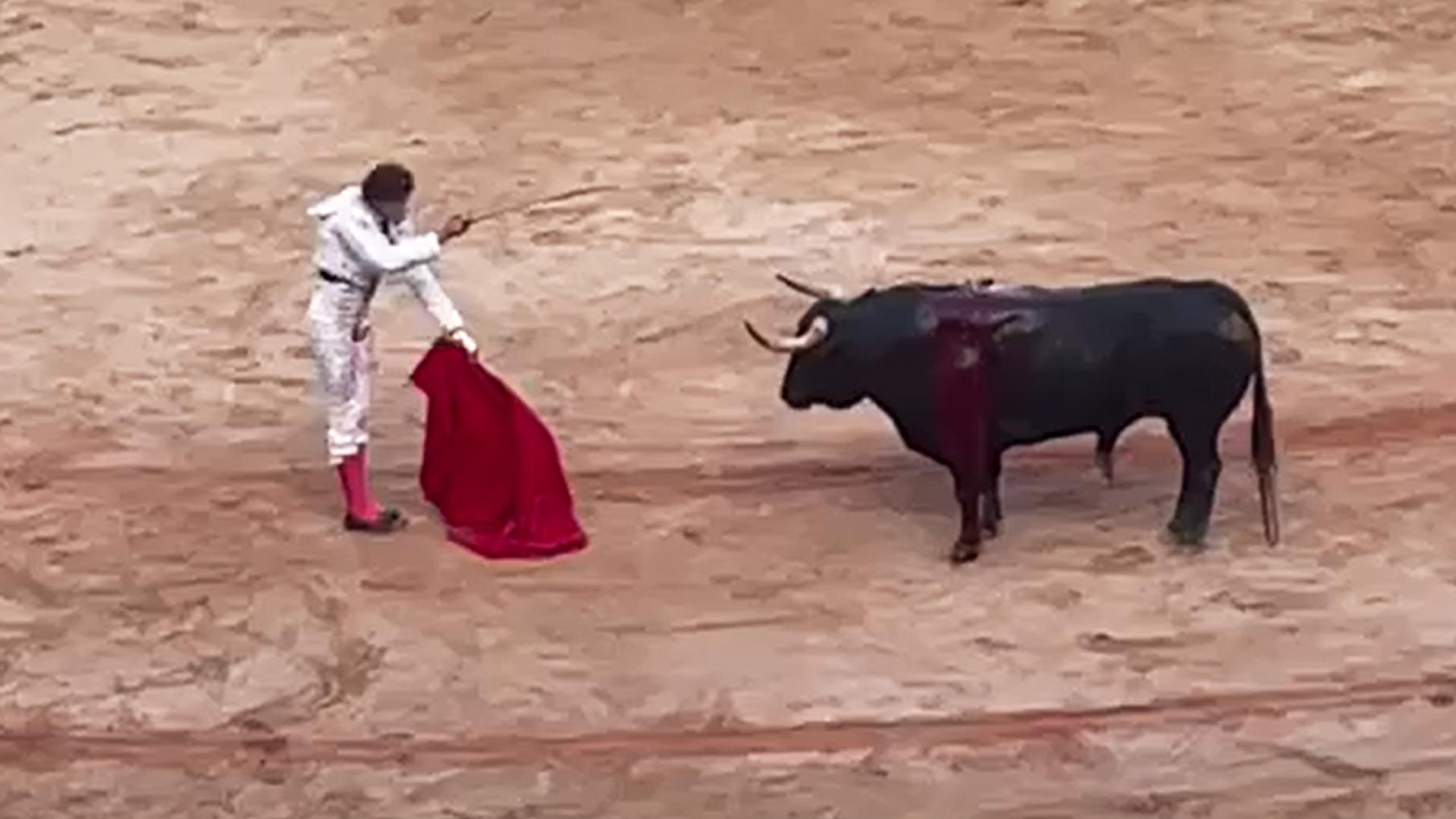 Estocada de Roca Rey a su primer toro de la corrida del 11 de julio