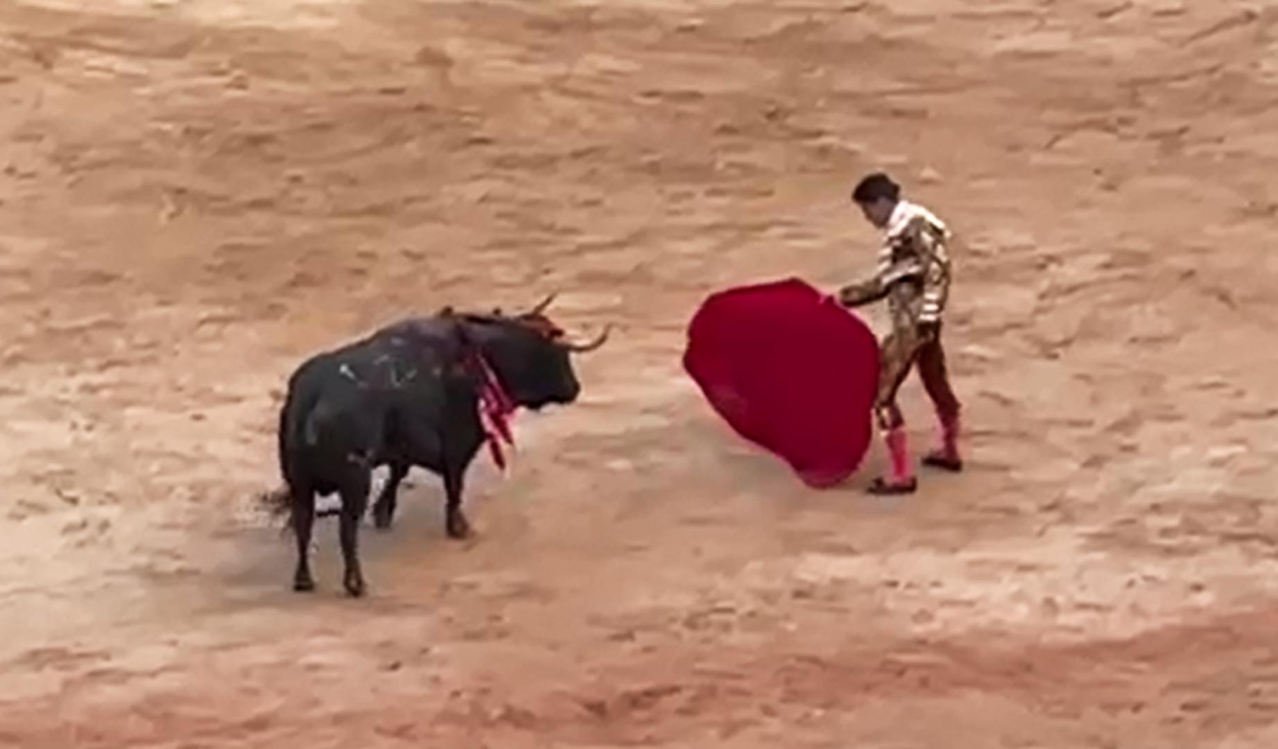 Derechazos de Talavante en su segundo toro de la corrida del 11 de julio