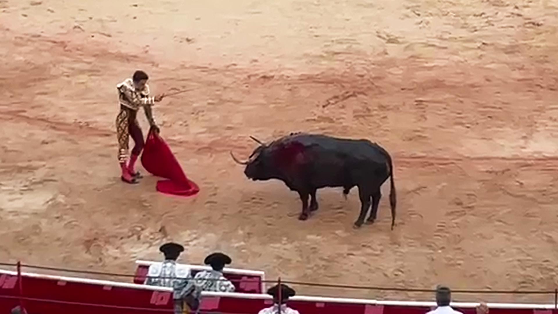Estocada de Talavante a su segundo toro de la corrida del 11 de julio