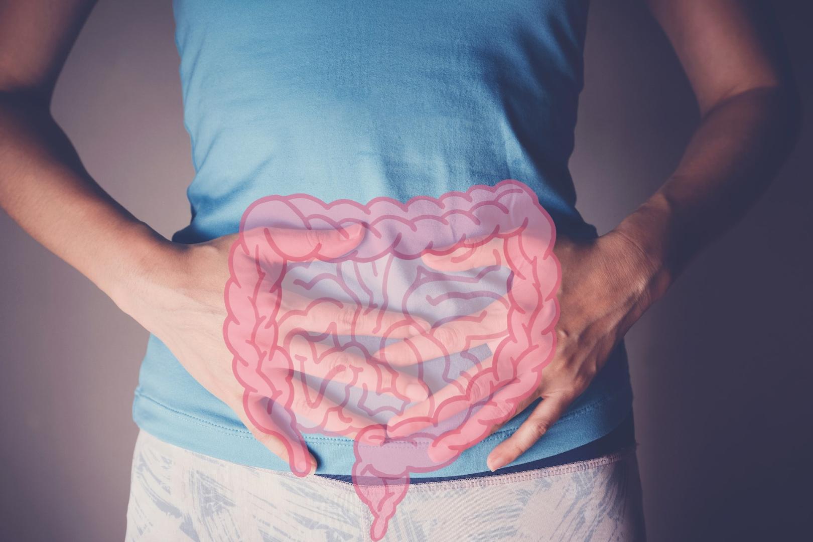 Según el tipo de alimento que pongamos en el plato, crecerán unas bacterias u otras en nuestro intestino