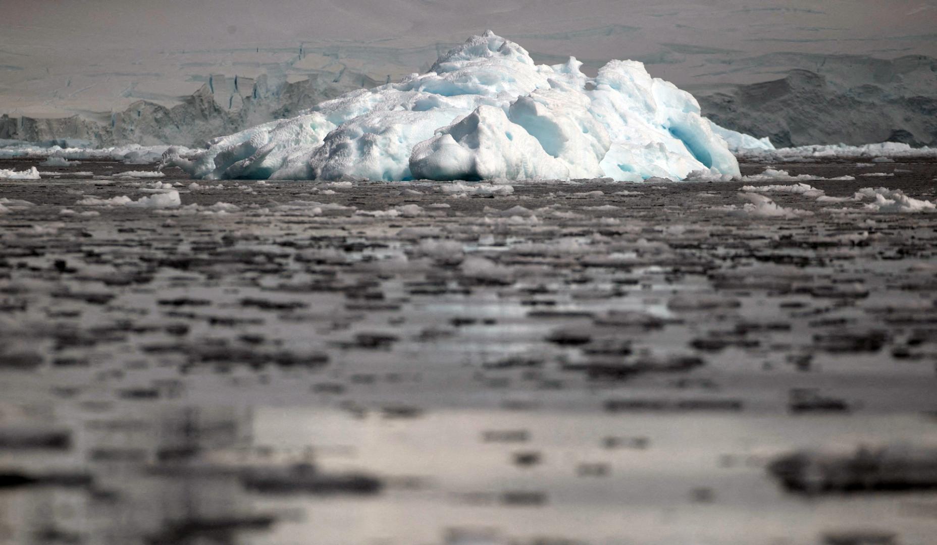 Trozos de hielo flotan cerca de la Bahía Fournier,en la Antártida