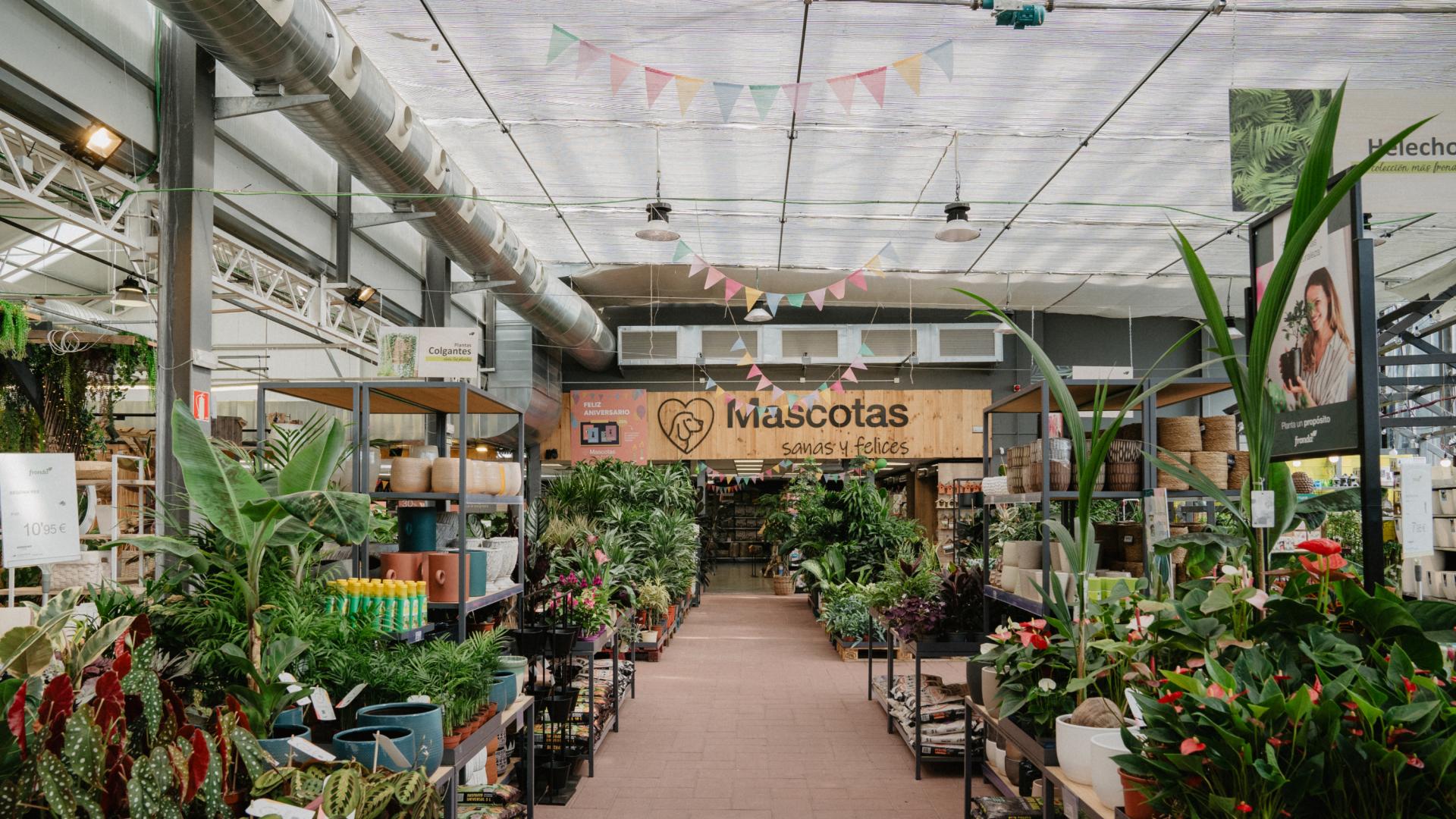 En Fronda tienen más de 20.000 referencias botánicas, las últimas tendencias en decoración y lo mejores para las mascotas.