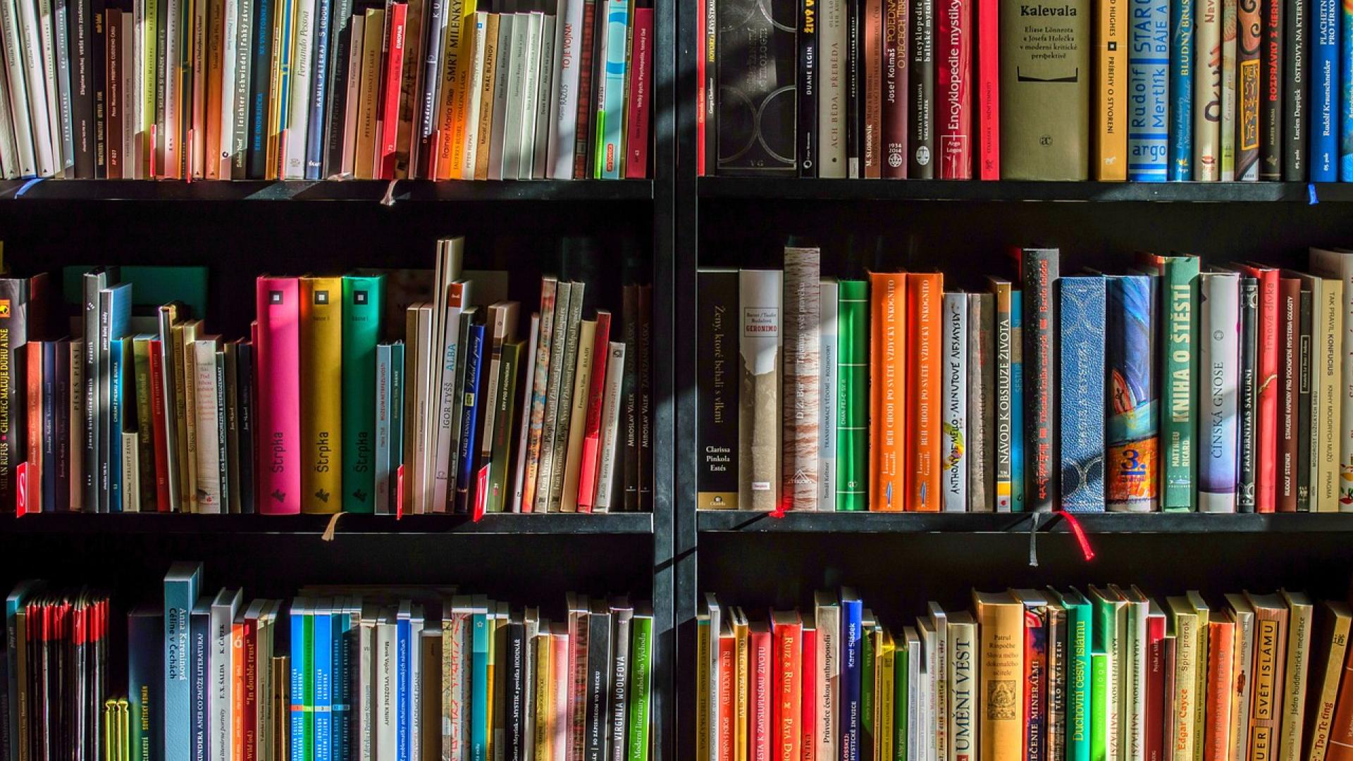 Imagen de archivo de unas estanterías con libros