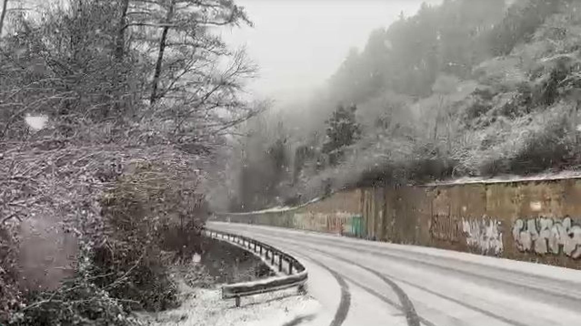 Imagen de la N-135, a la altura de Zuriain