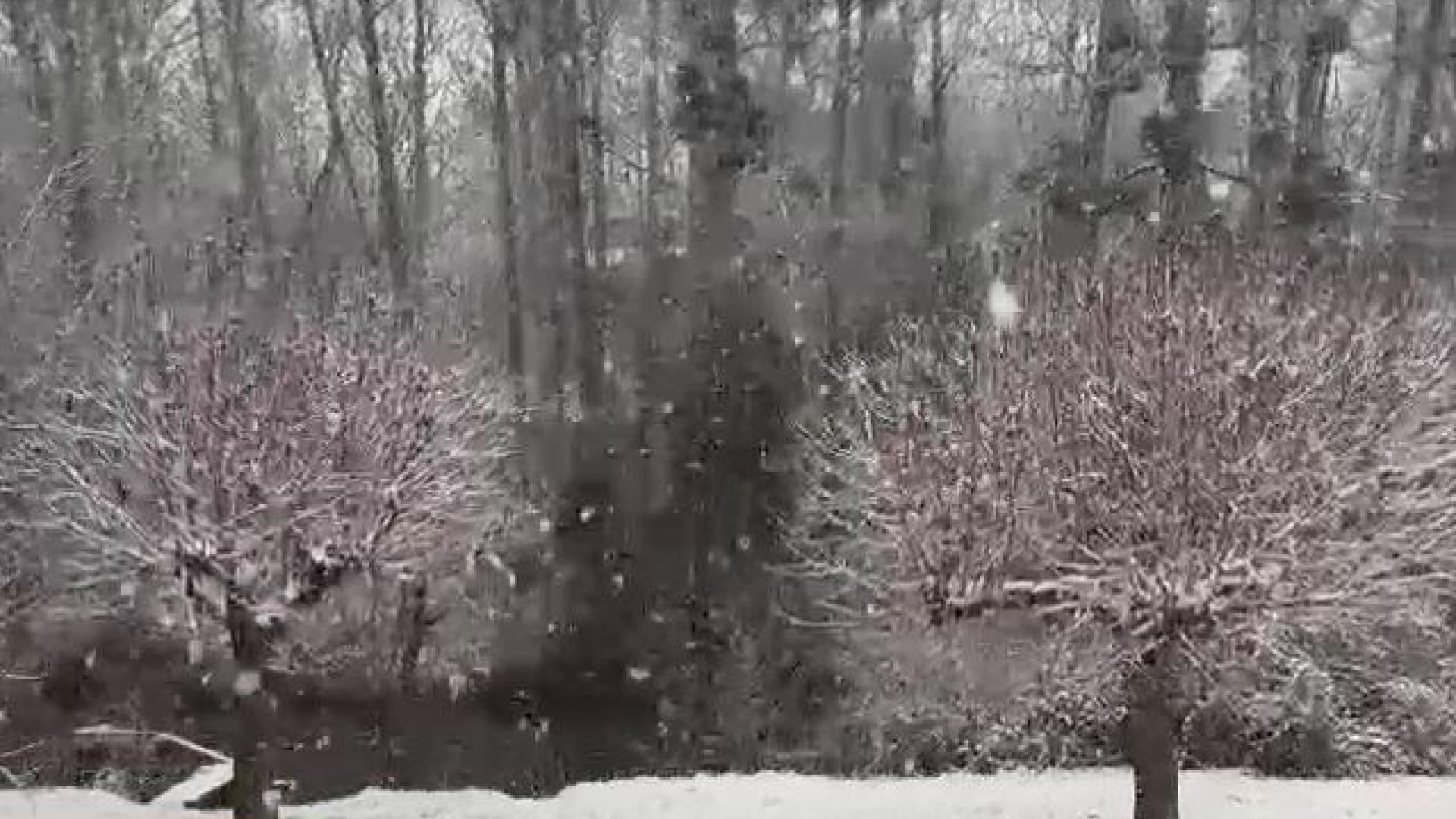 Nieve en Larrasoaña
